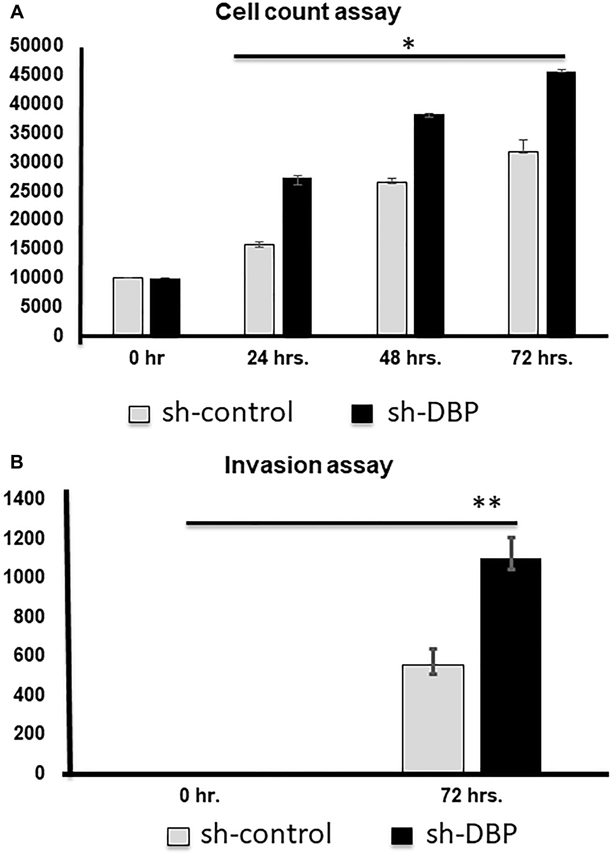 Cell counting and invasion assays after si-DBP-knockdown.