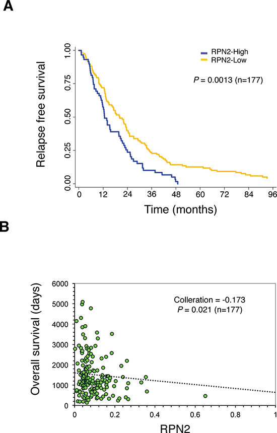 The clinical relevance of RPN2 in a validation cohort study of NSCLC.