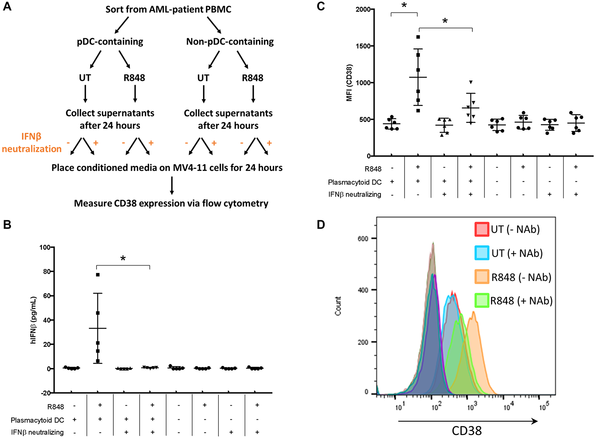 pDC-dependent IFNβ production enhances CD38 expression on AML cells.