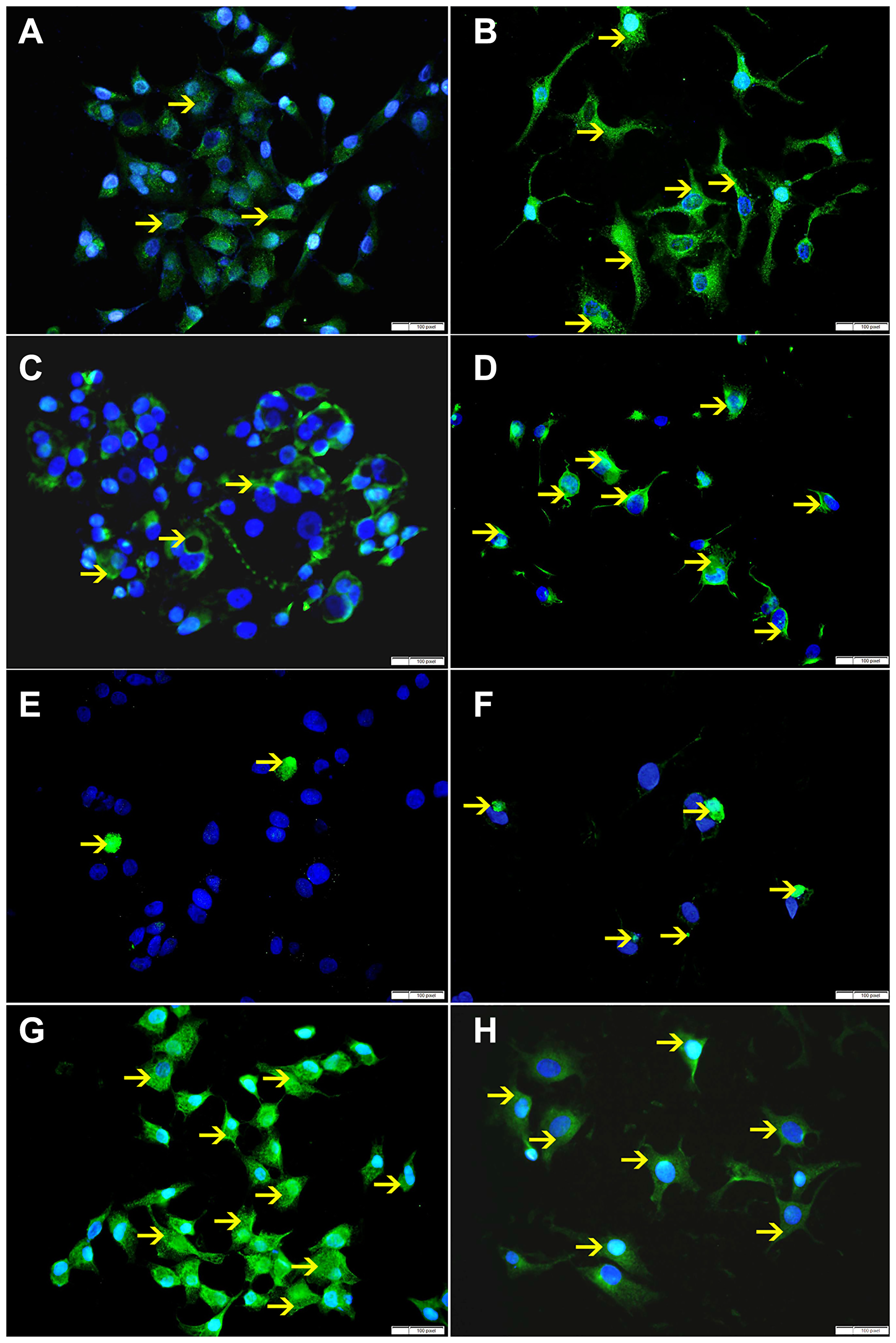 Figure 9: