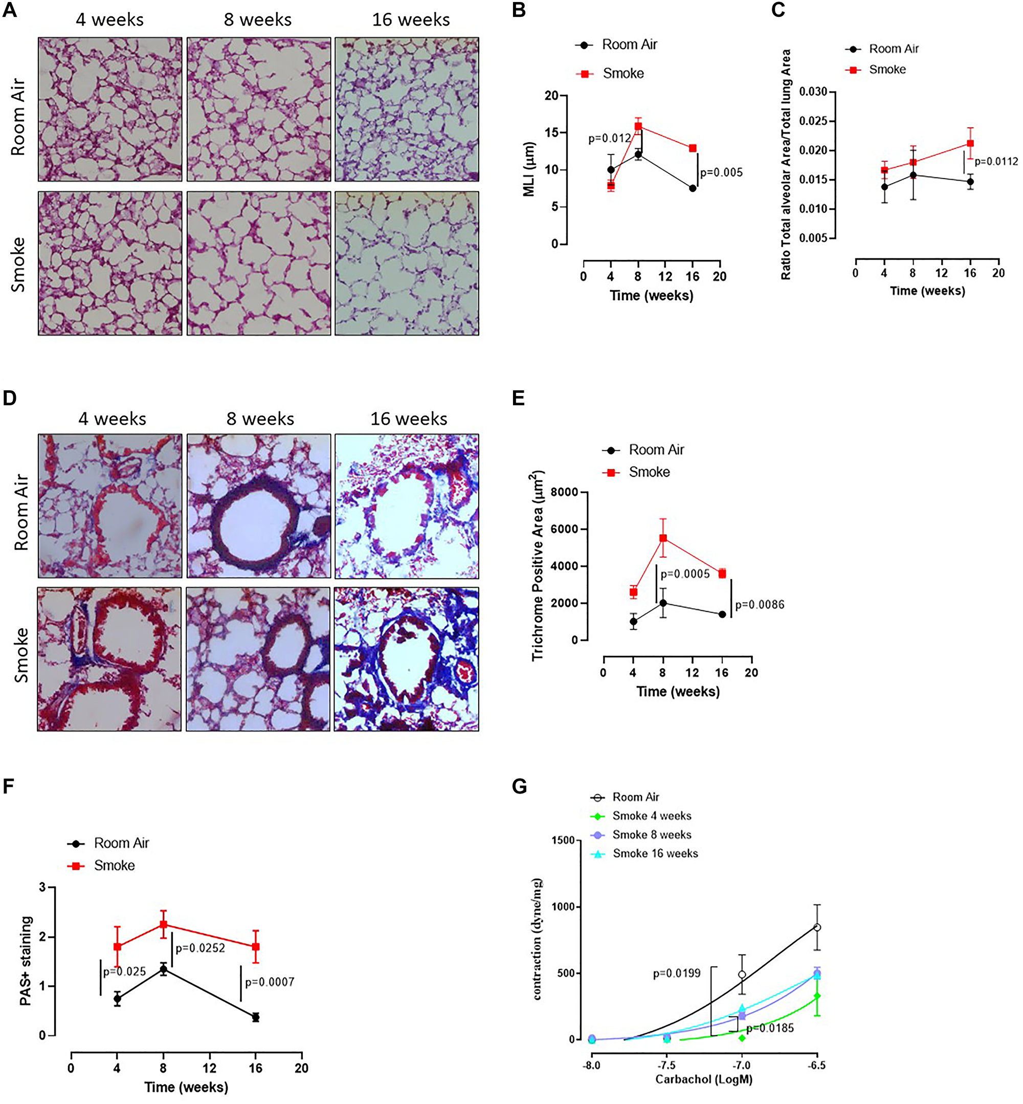 C57Bl/6 smoking mice presented COPD-like features.