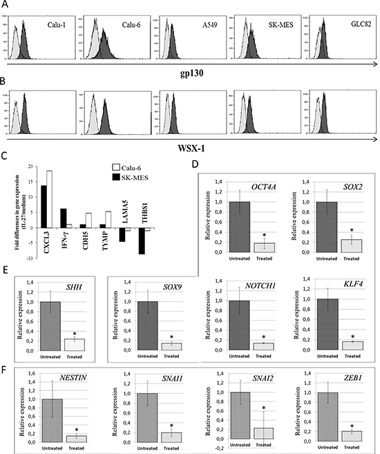 Expression of IL-27R in Human Lung Carcinoma Cell Lines, and IL-27&#x0027;s Effects on Angiogenesis, Stemness- and EMT-Related Gene Expression in Calu-6 and SK-MES Cell Lines.