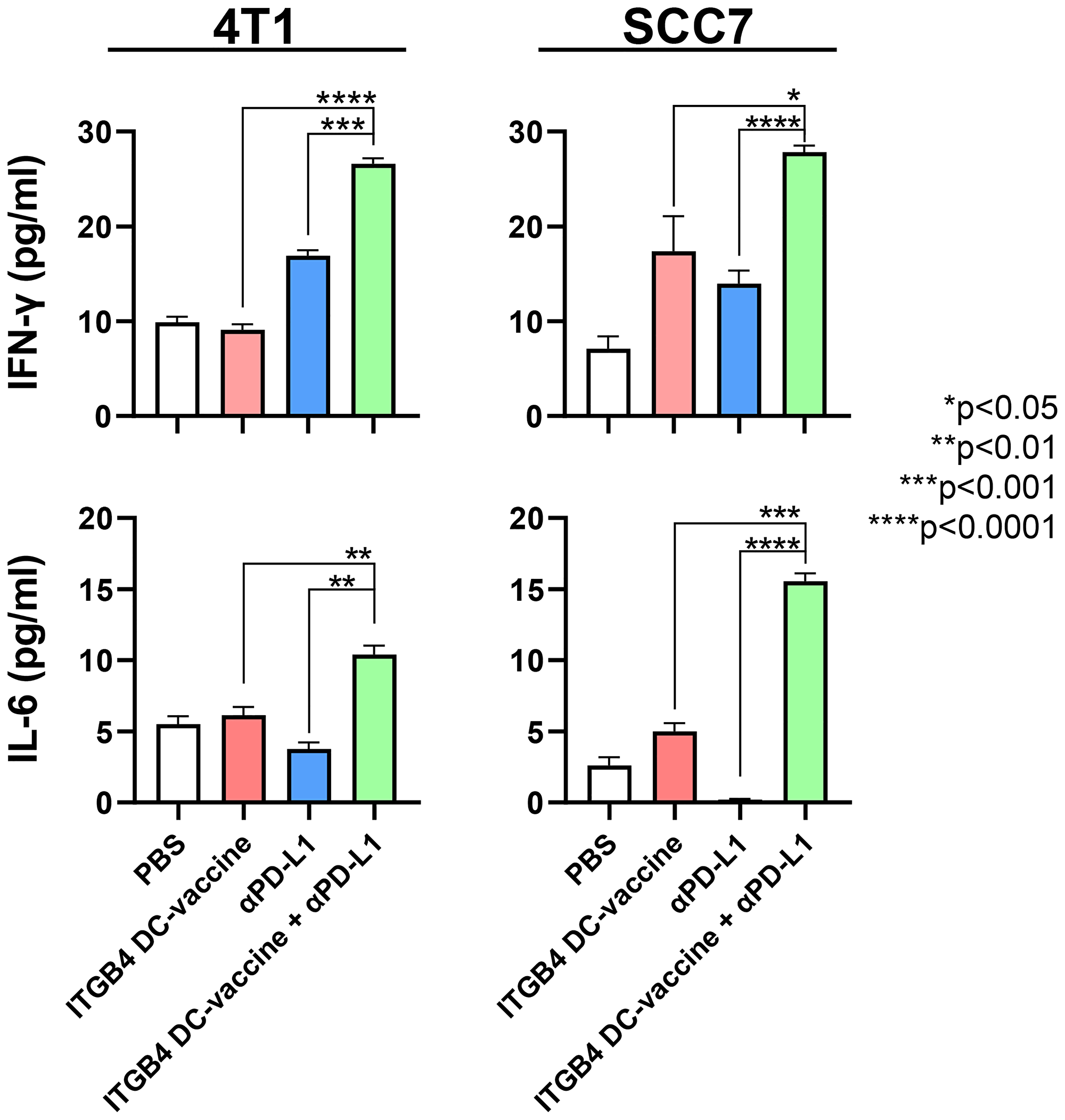 Serum concentrations of IFN-γ and IL-6 are significantly increased following vaccination with ITGB4-DCs combined with anti-PD-L1 administration.