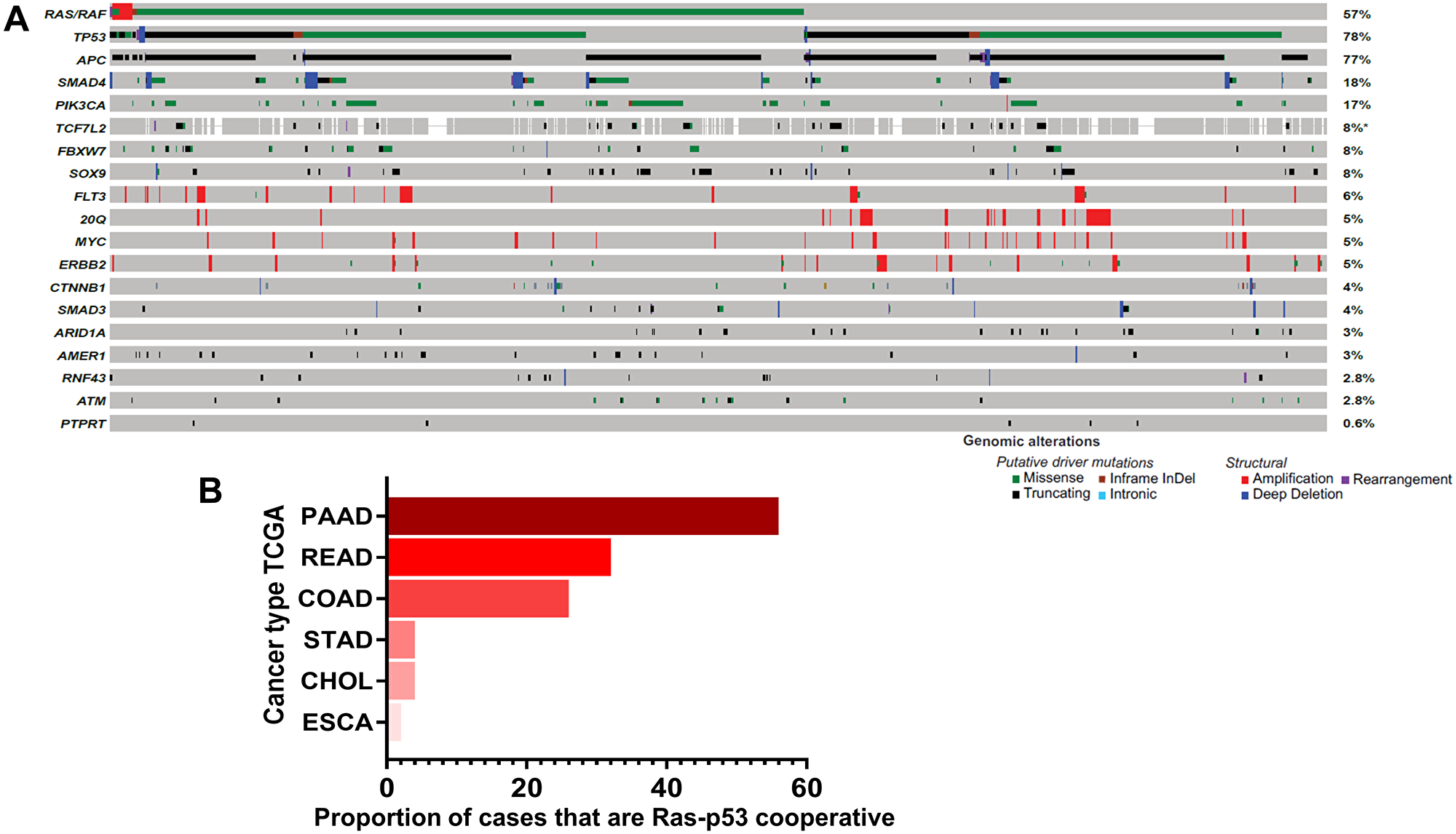 Ras-p53 genomic cooperativity in gastrointestinal cancer.