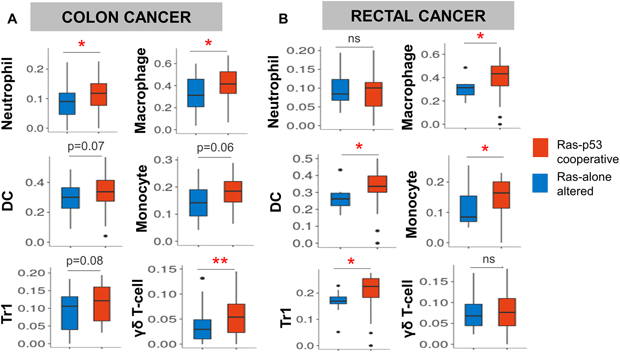 Ras-p53 cooperative mutations in rectal and colon cancer are associated with an innate immunoregulatory phenotype.