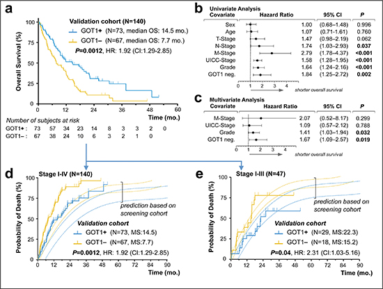 Validation of GOT1 expression status as an independent prognostic biomarker in pancreatic ductal adenocarcinoma.