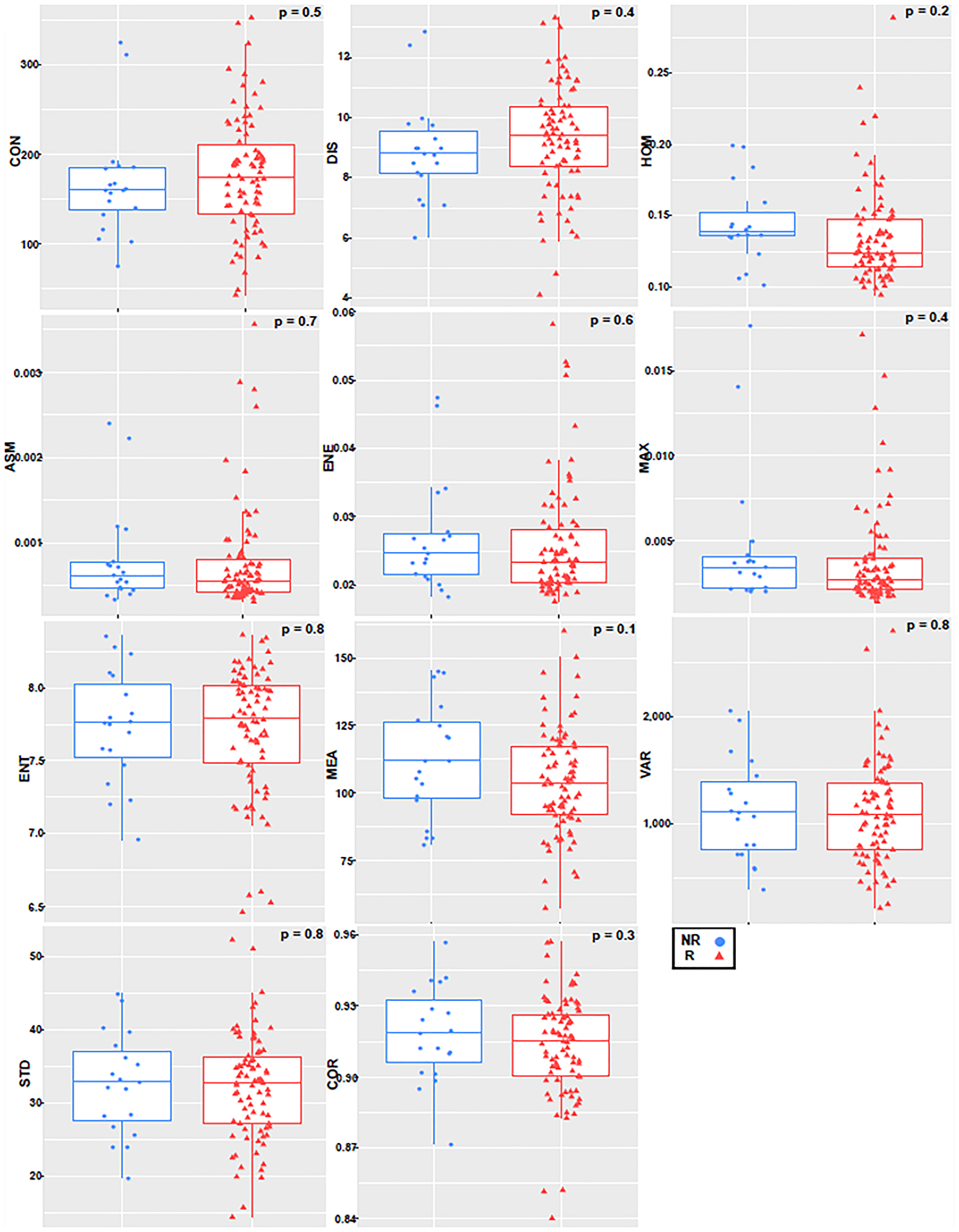 Boxplot with an overlayed scatterplot of the distributions of NR and R patient texture feature values calculated with only tumor margin, a quantization of 256 grey levels, and a pixel distance of 1.