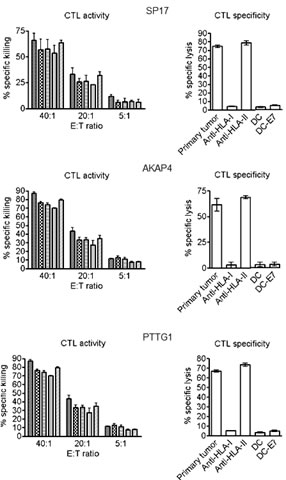 Analysis of CTL activity (left) and specificity (right).