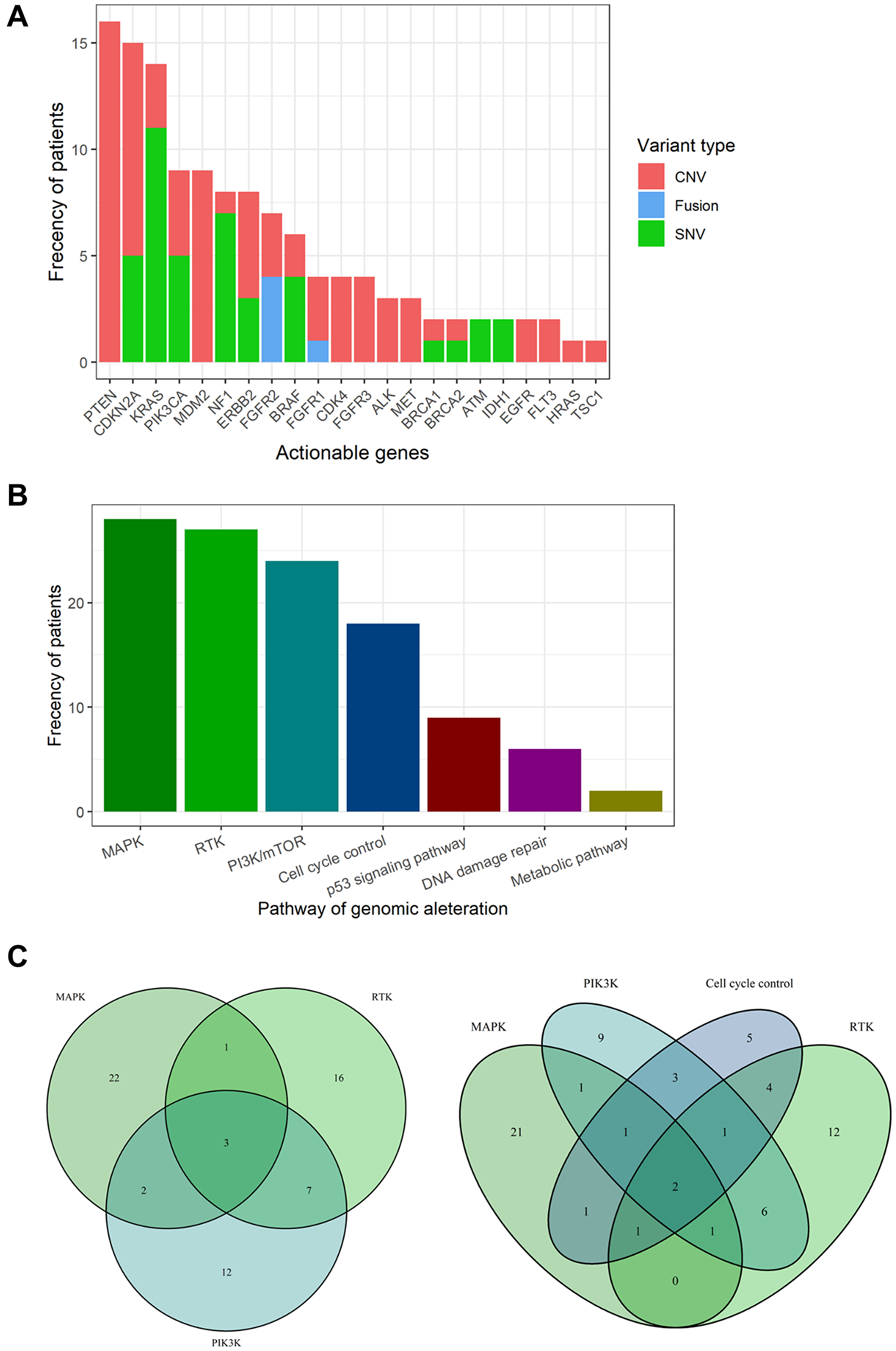 Actionable genes and pathways in biliary tract cancer.