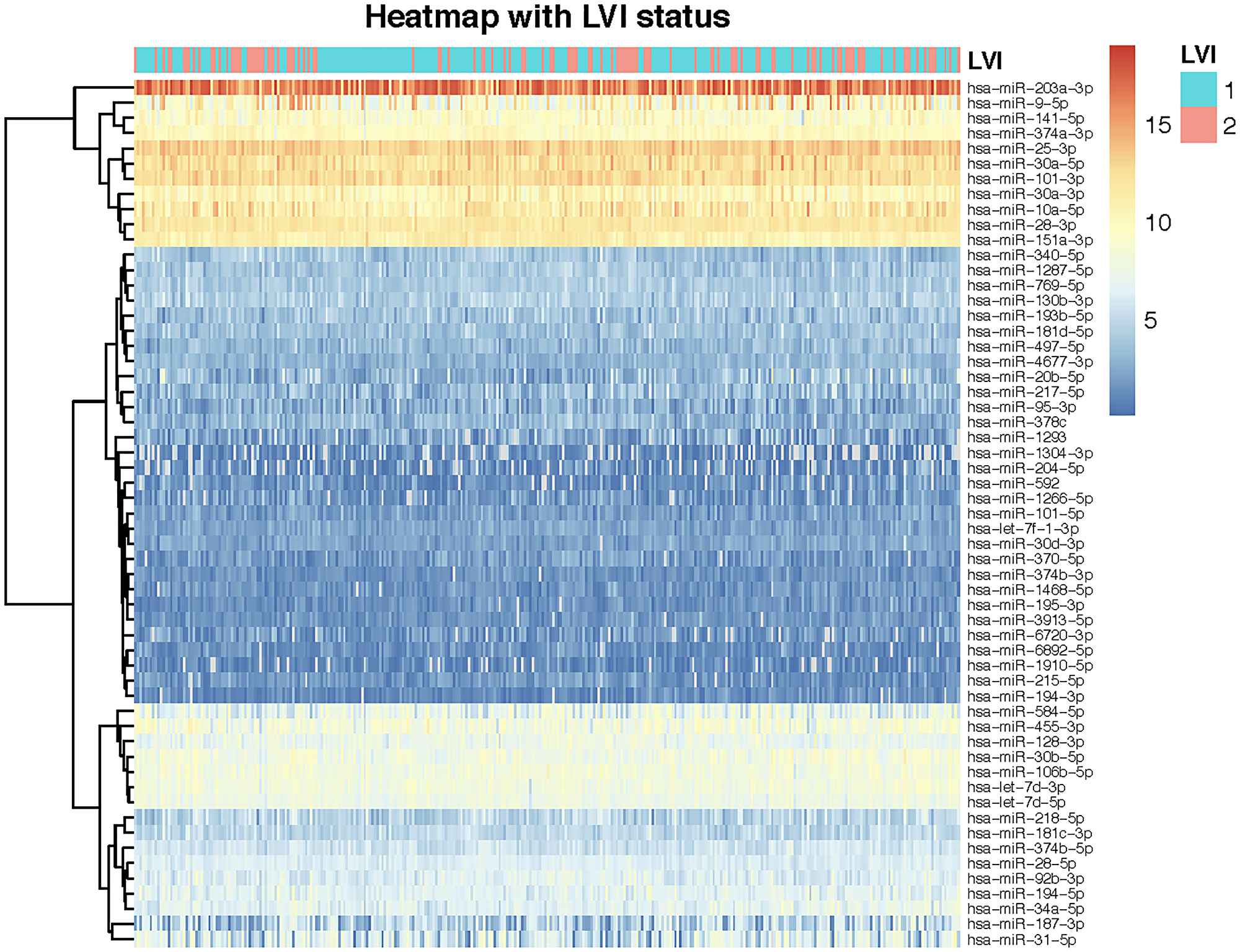 Heatmap of miRNA expressions for 324 patients showing unsupervised clustering of miRNAs.