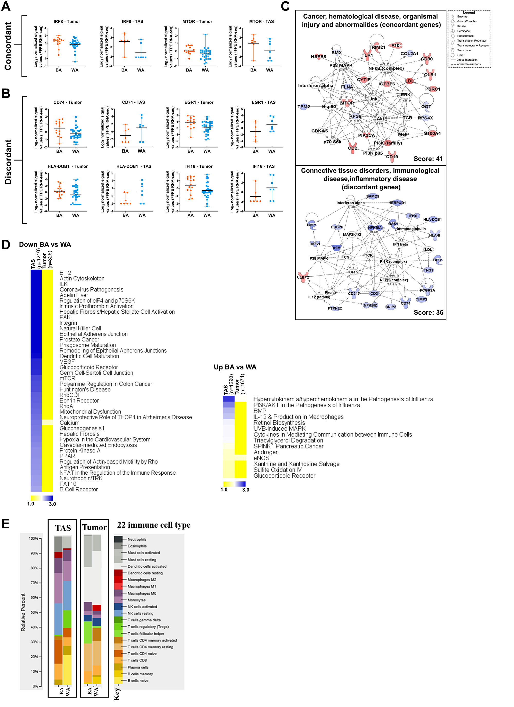 Comparative pathway analysis of significantly differentially expressed genes in BA versus WA PCa patients in tumor and tumor-adjacent stroma (TAS).