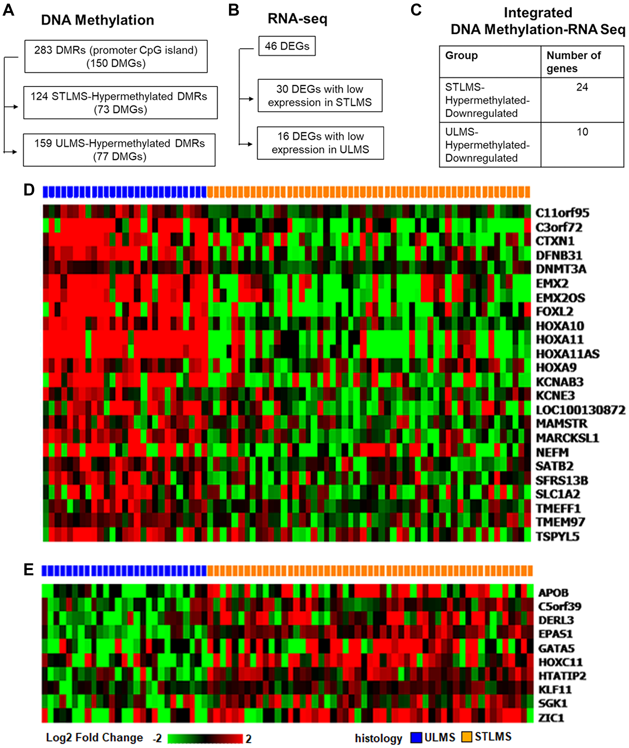 Integrated analysis of differentially methylated and expressed genes in ULMS and STLMS.