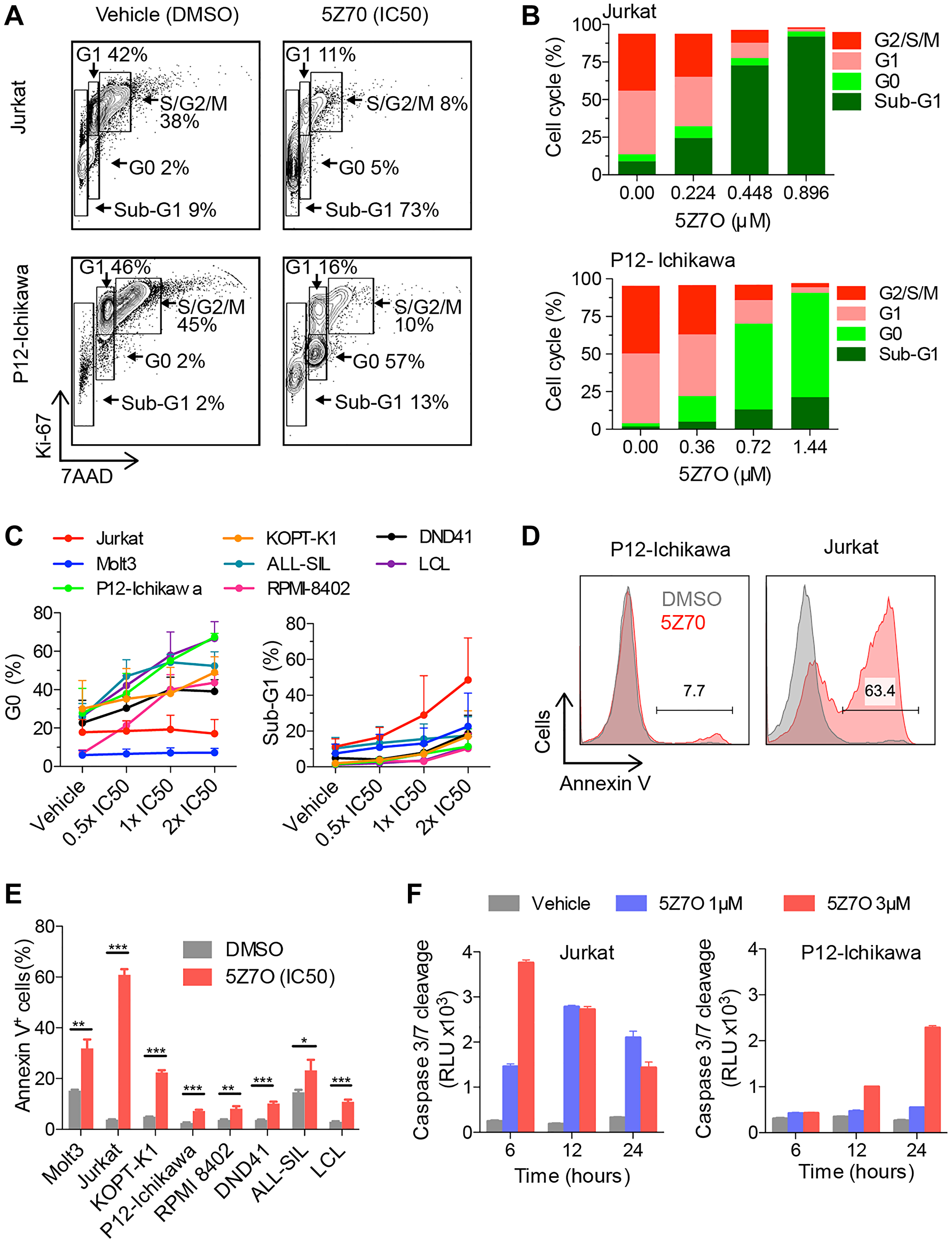 Treatment with 5Z7O inhibits cell proliferation and induces apoptosis in T-ALL cell lines.