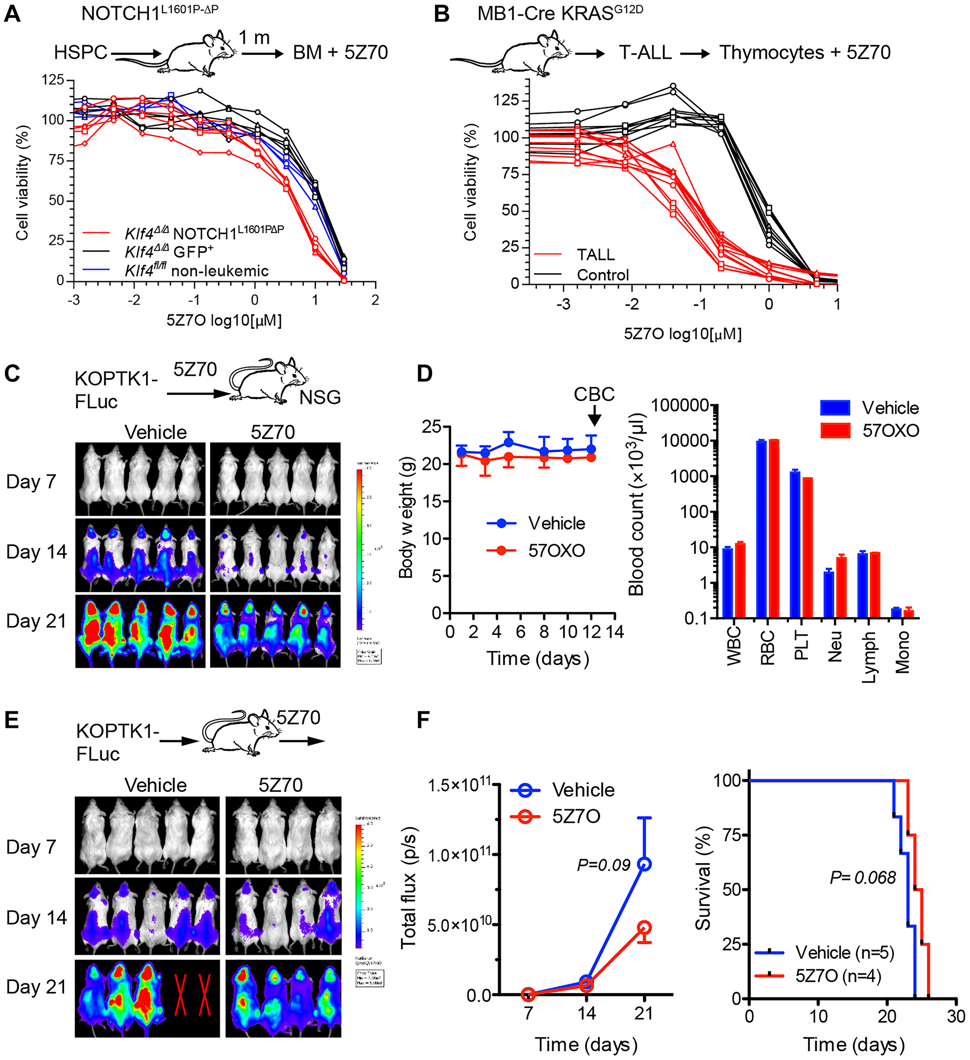 Leukemic cells from T-ALL mouse models are sensitivity to 5Z7O.