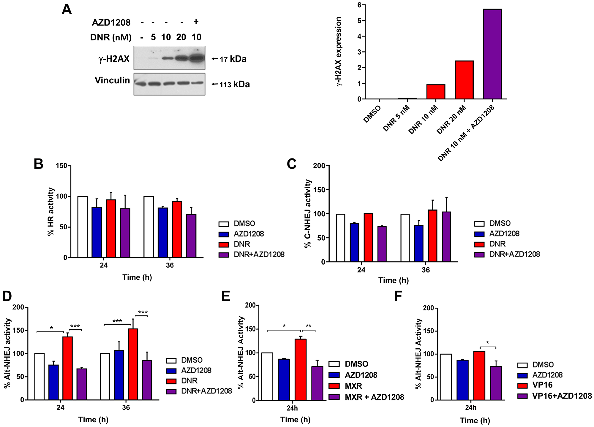 Topoisomerase 2 inhibitor treatment upregulates Alt-NHEJ, but not HR or C-NHEJ, DNA DSB repair activity in cells with FLT3-ITD, and Pim inhibitor co-treatment abrogates Alt-NHEJ upregulation.