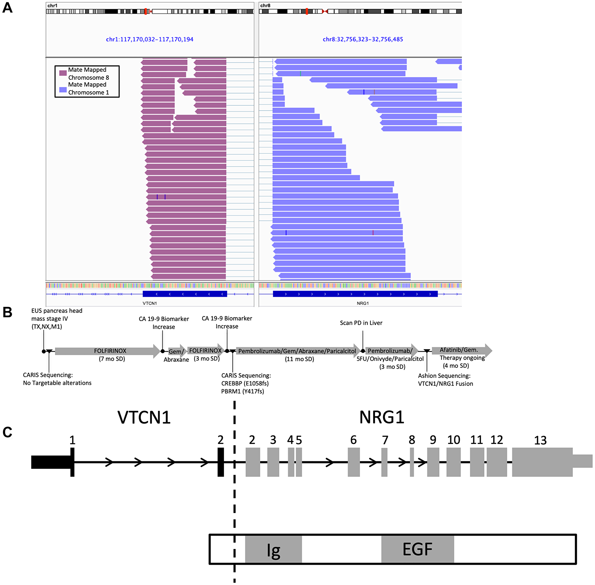 IGV graph.