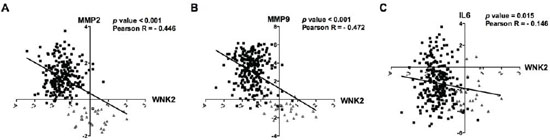 In silico validation of inverse correlation of WNK2 with MMP2, MMP9, and IL-6 in gliomas.