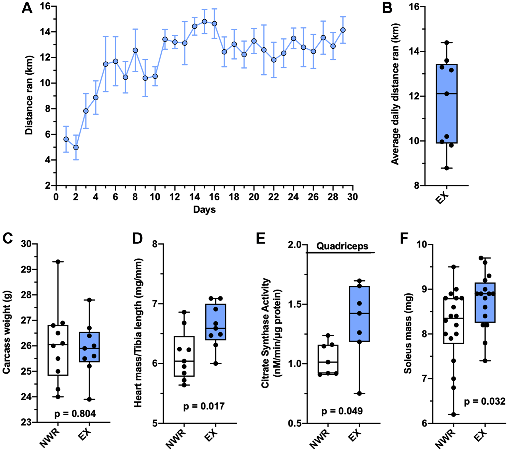 Voluntary wheel running induces aerobic adaptations.