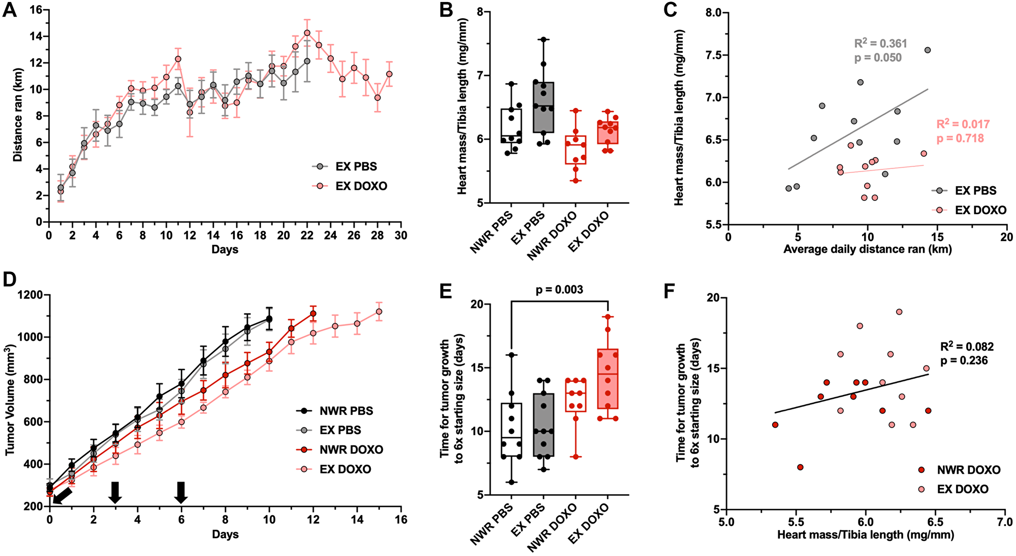 Aerobic exercise increases the anti-tumor efficacy of doxorubicin chemotherapy.