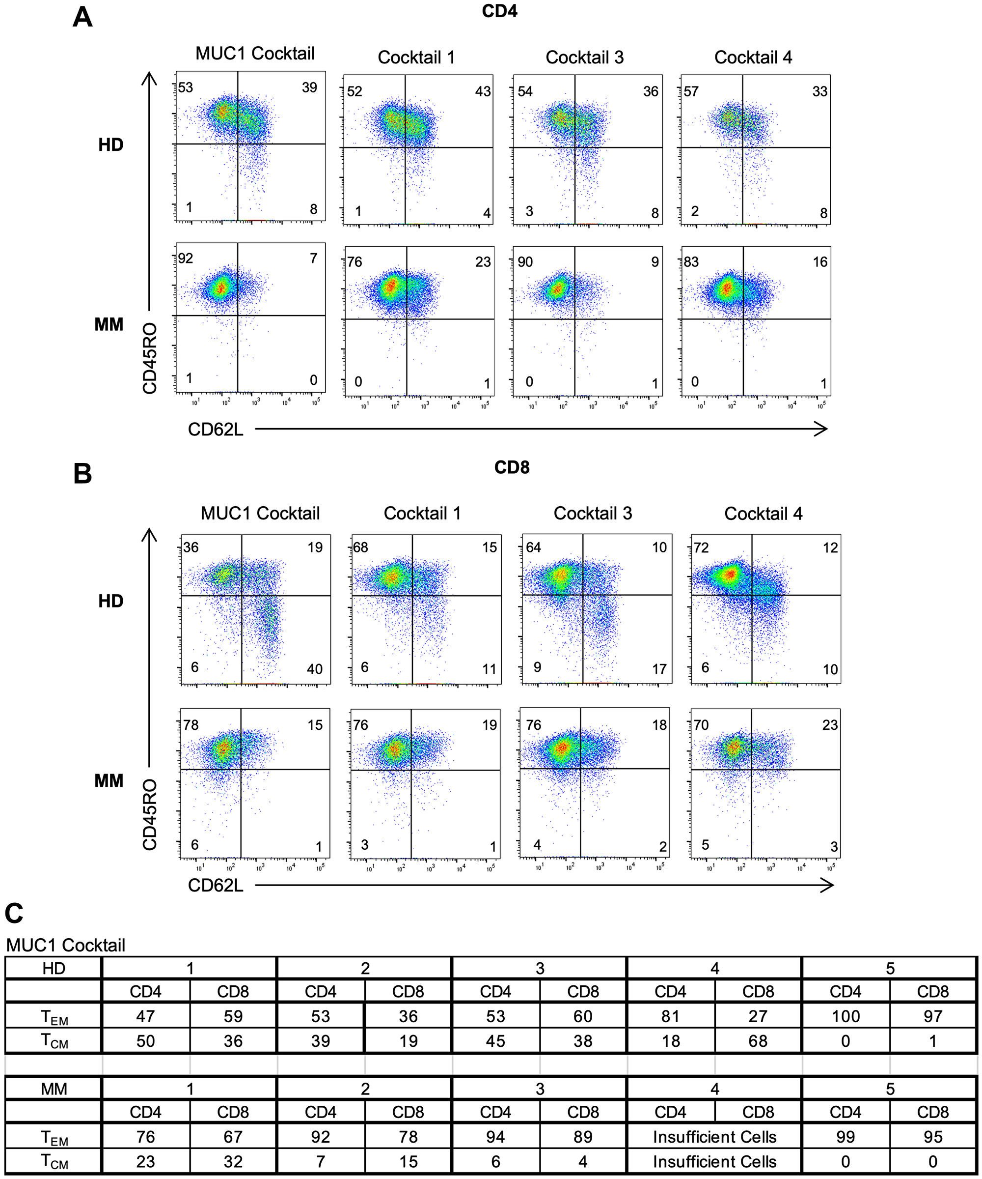 Generation of both effector and memory T cells in MM patients and HDs following peptide activation.