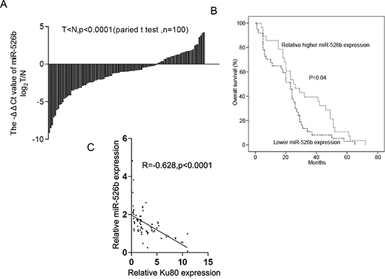 Hsa-miR-526b is downregulated in NSCLC tissues and its downregulation is inversely correlated with the Ku80 overexpression.