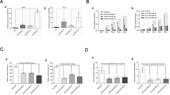 Hsa-miR-526b demonstrates a tumor suppressor role in NSCLC.