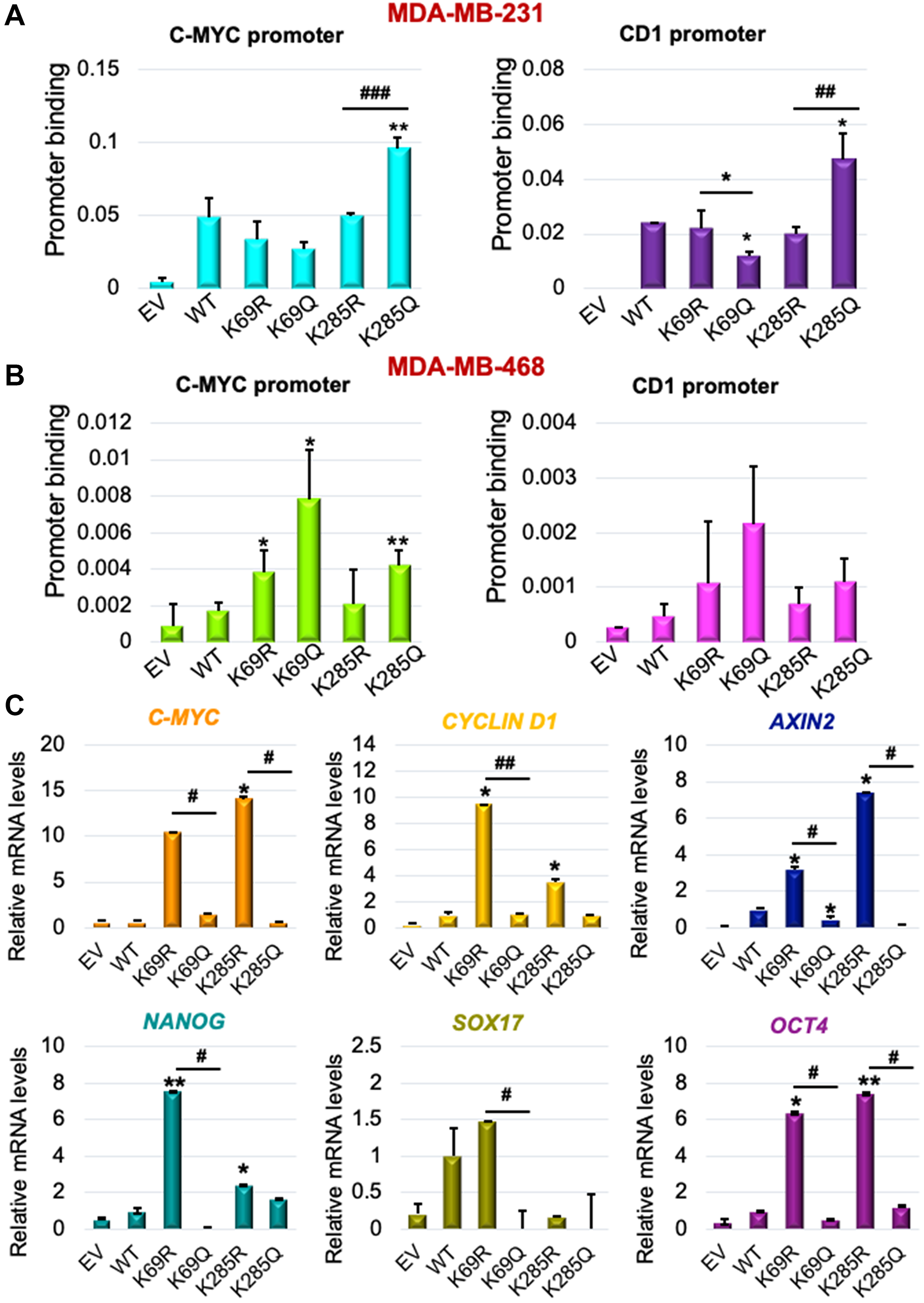 K69 and K285 lysine residues influences its binding and regulation of WNT target genes in triple-negative breast cancer models.
