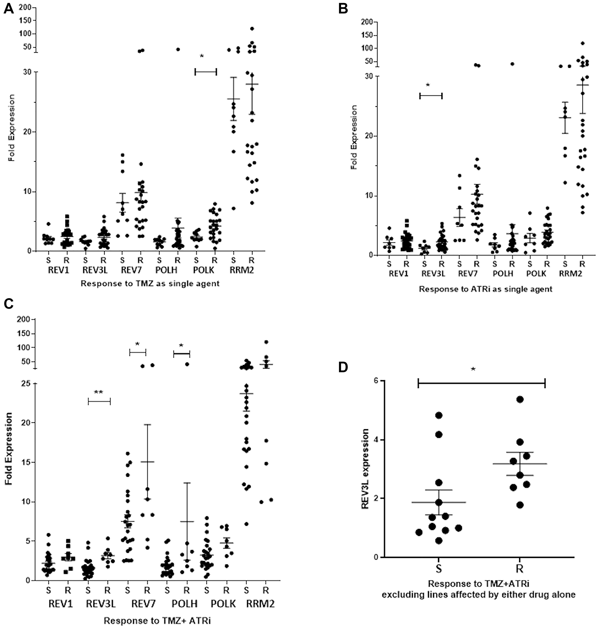 Low REV3L mRNA expression is associated with sensitivity to the combination of TMZ + ATRi.