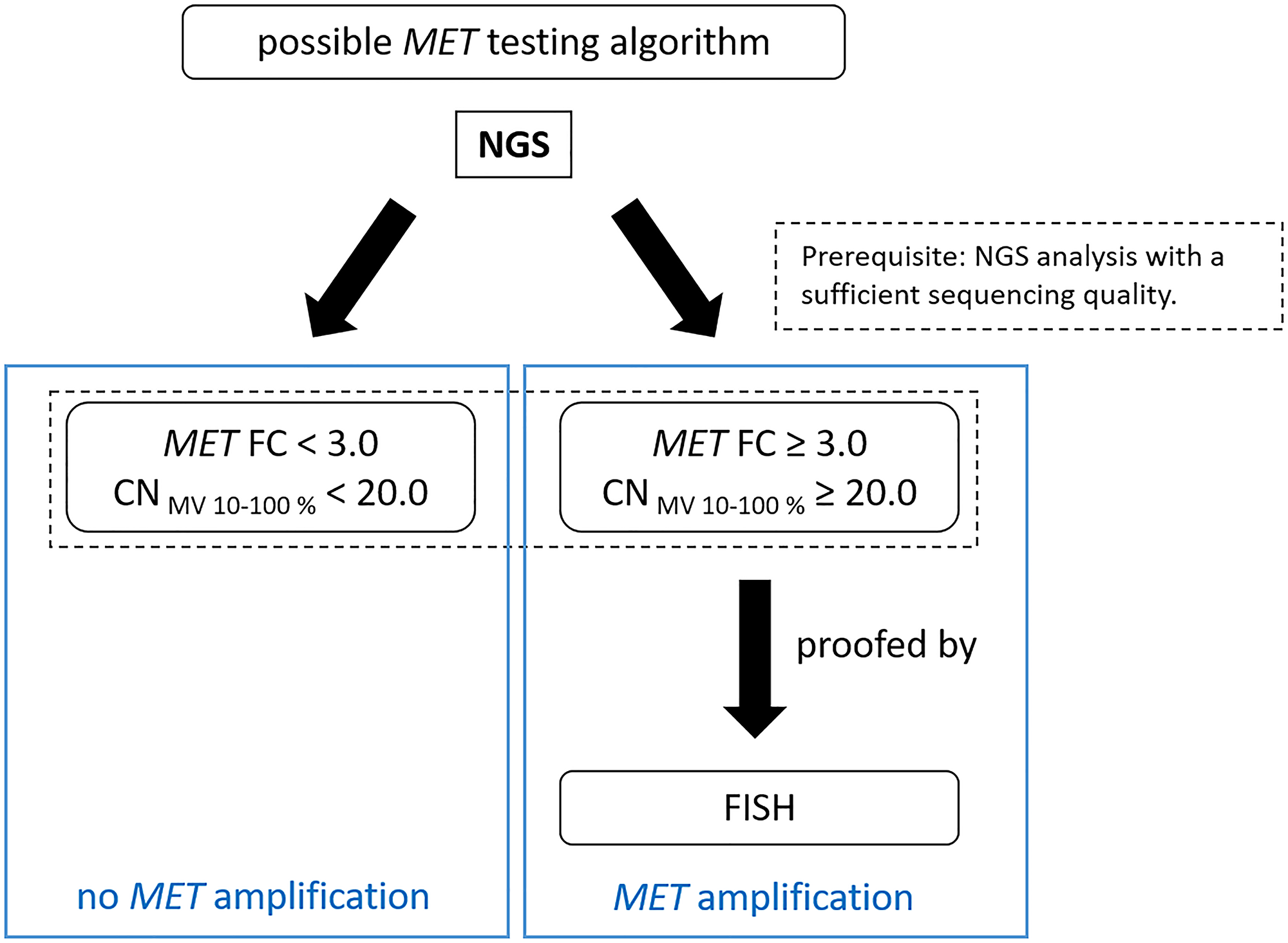 Suggested testing workflow for the detection of MET amplifications by QIAGEN workflow.