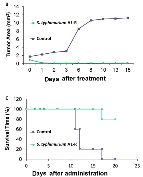 fig4b