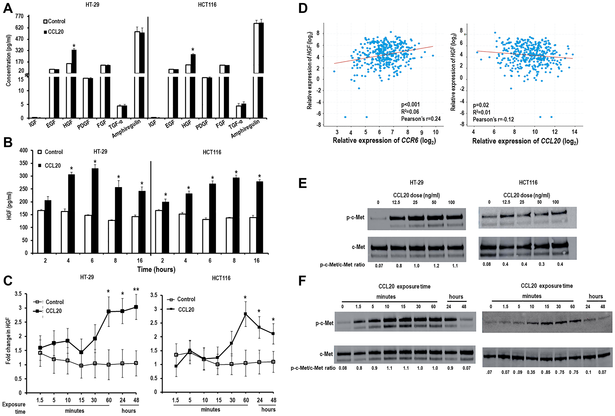 CCL20 induces colorectal cancer cells to produce HGF.