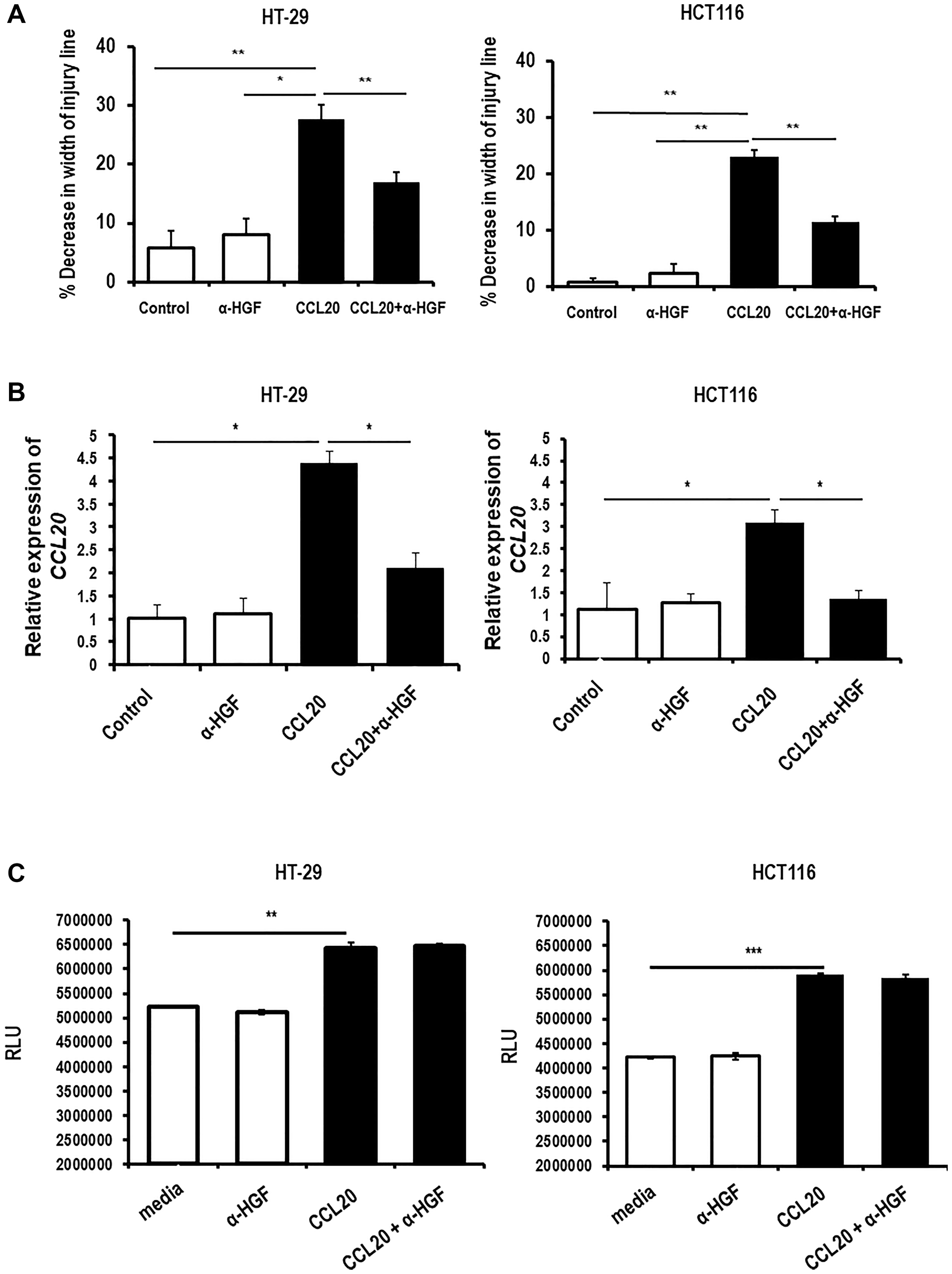 CCL20-dependent colorectal cancer cell migration and CCL20 production, but not proliferation, are mediated by HGF.