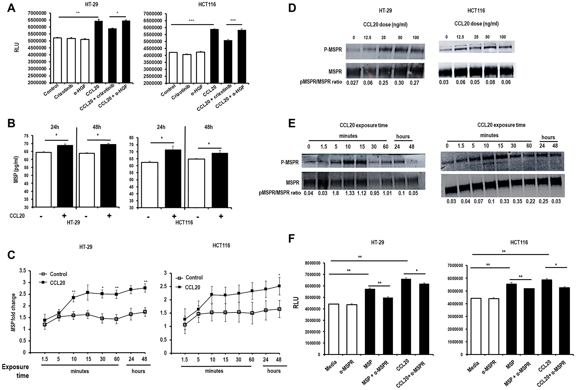 Figure 6: CCL20-dependent colorectal cancer cell proliferation is mediated by MSP.