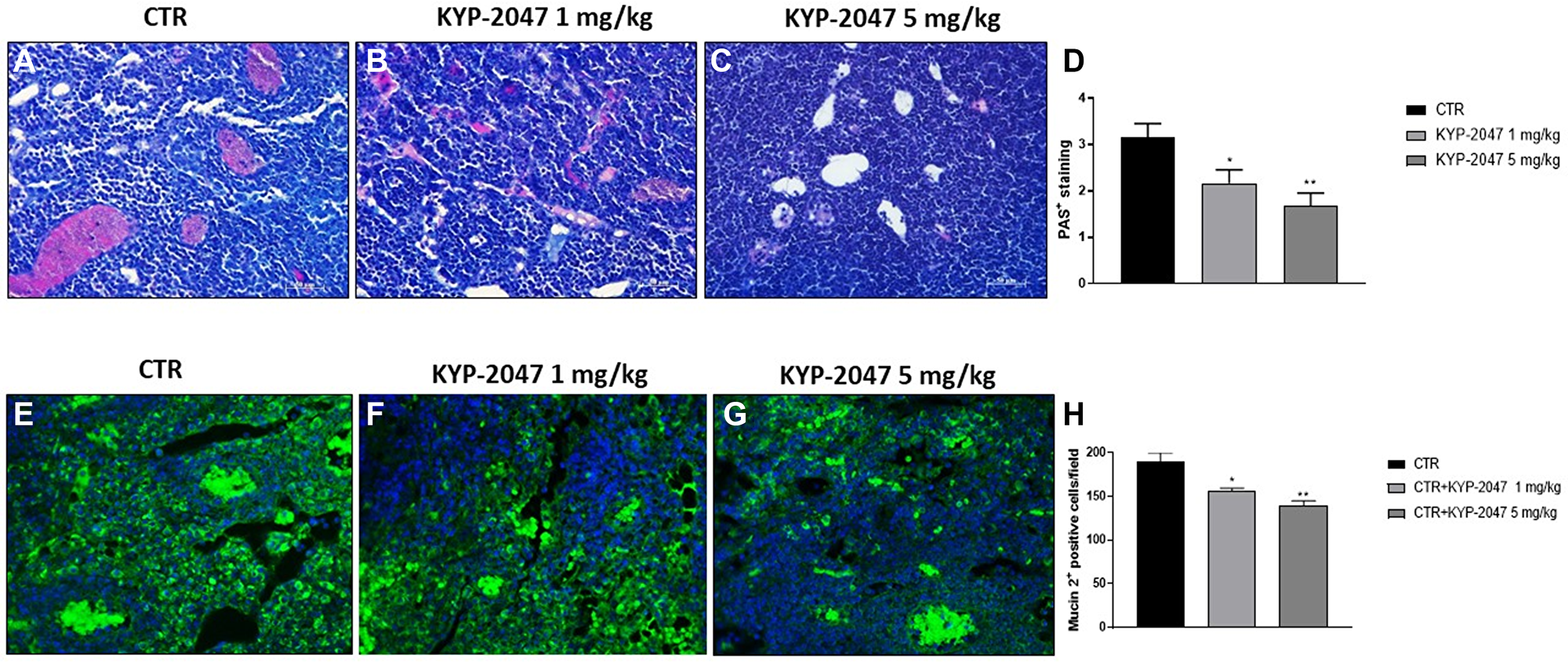Effect of KYP-2047 on mucosal content.
