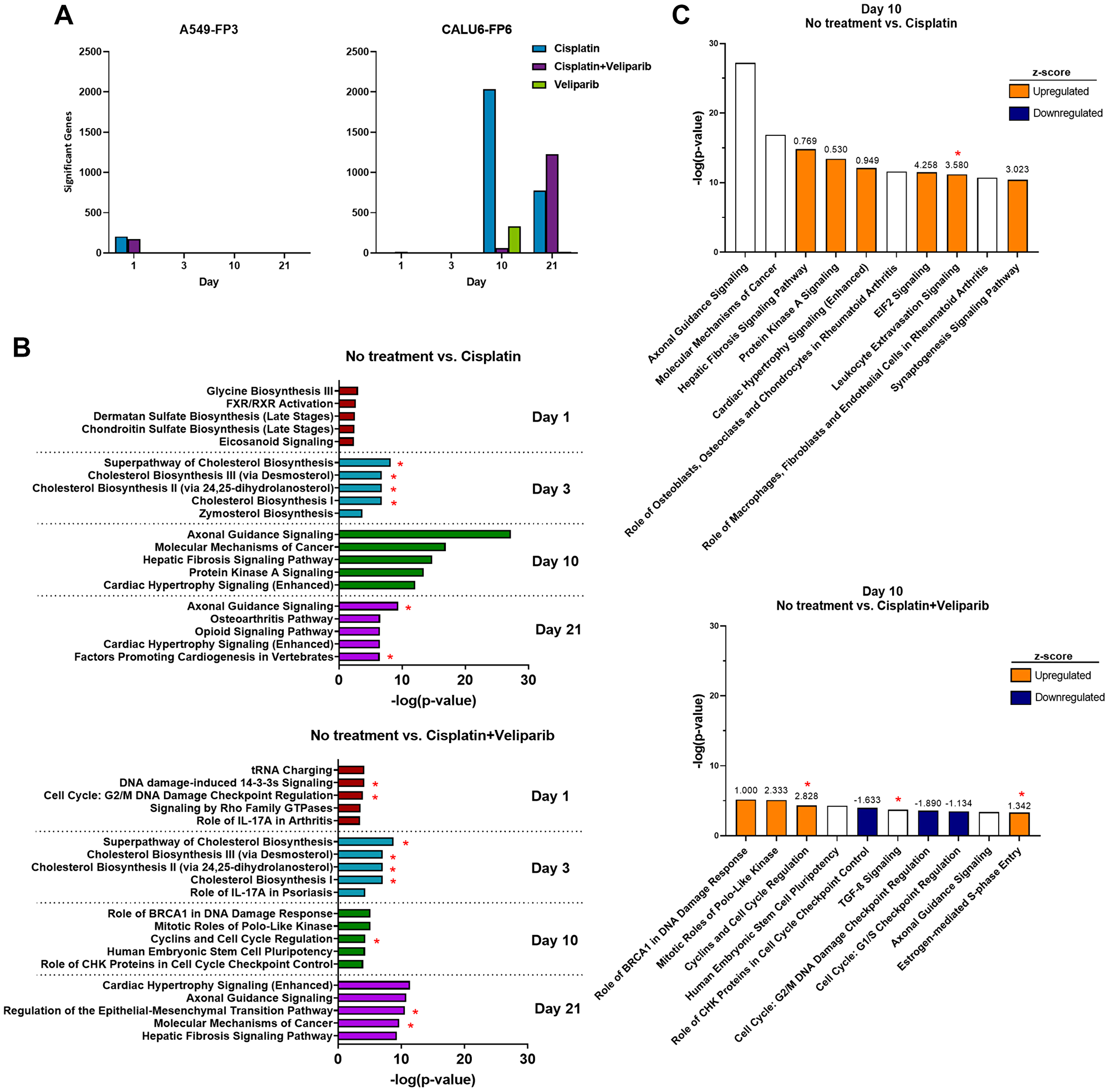 RNA-sequencing and gene ontology enrichment analysis reveal a diverse transcriptional response to cisplatin and veliparib treatment in A549-FP4 and Calu6-FP6 in vivo models.