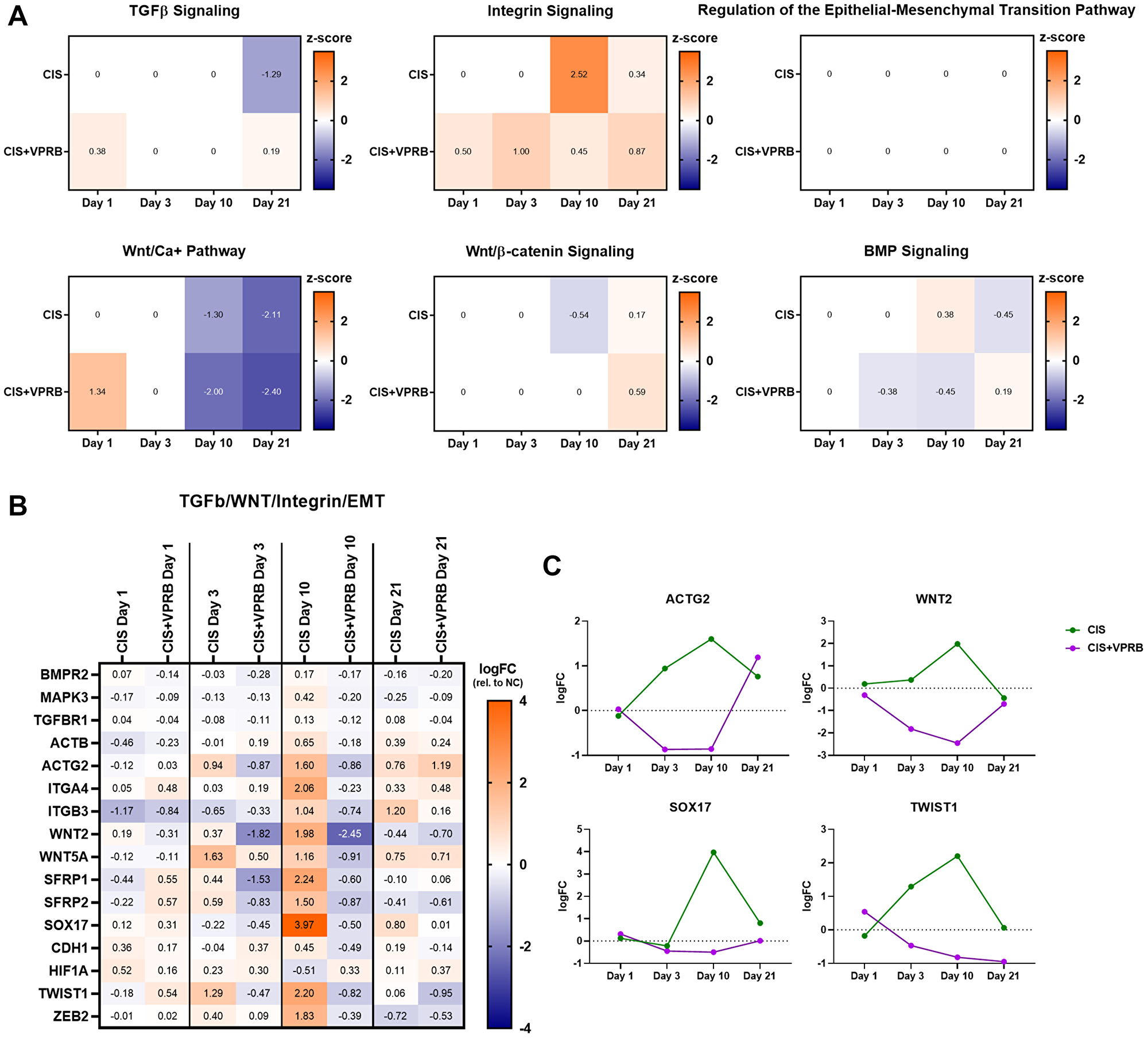 TGF-b, WNT, and integrin signaling pathways in Calu6-FP6 models treated with cisplatin and veliparib.