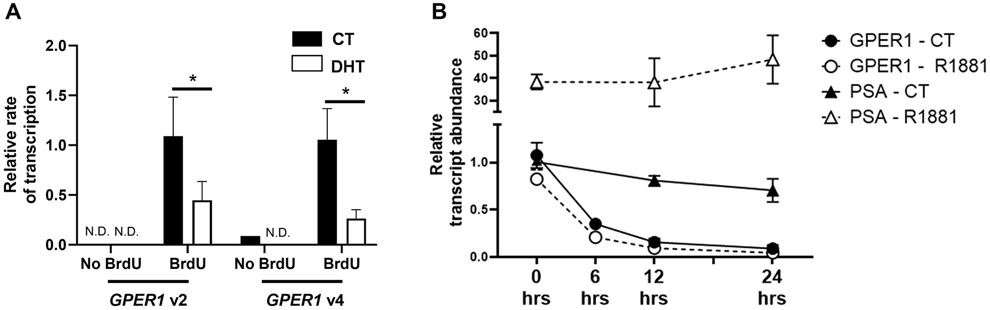 The AR represses transcription of GPER1 but not mRNA stability.