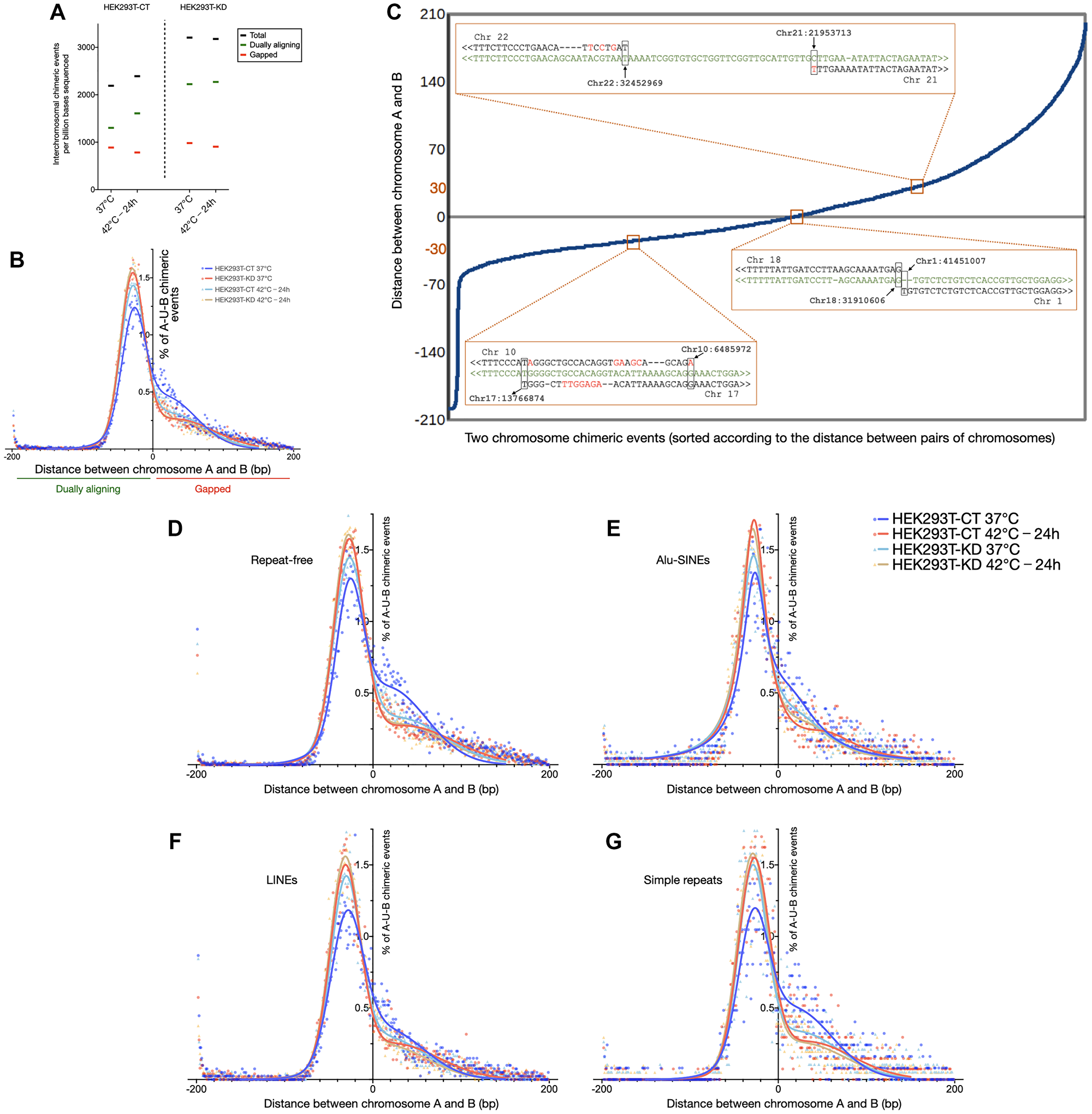 Depletion of CGGBP1 mimics the effects of heat stress on chimeric chromosomal DNA formation in HEK293T cells.