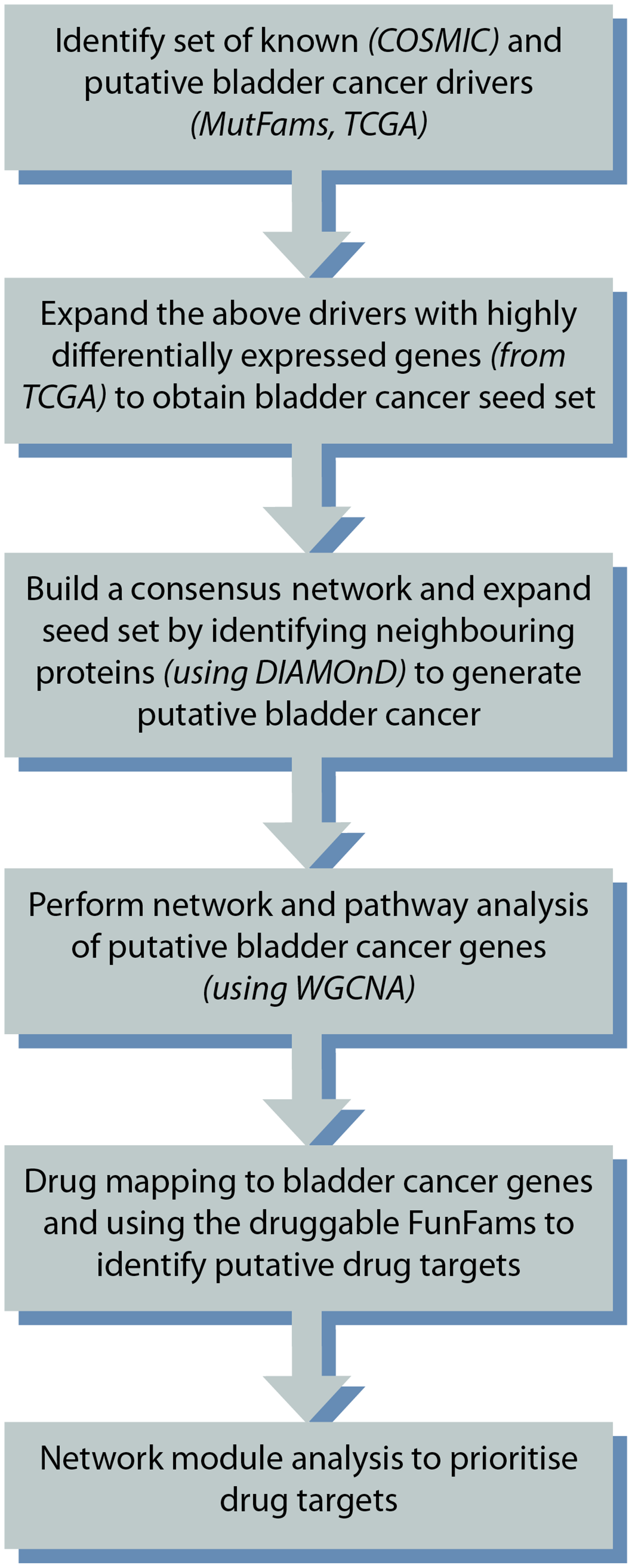 Overview of the study design.