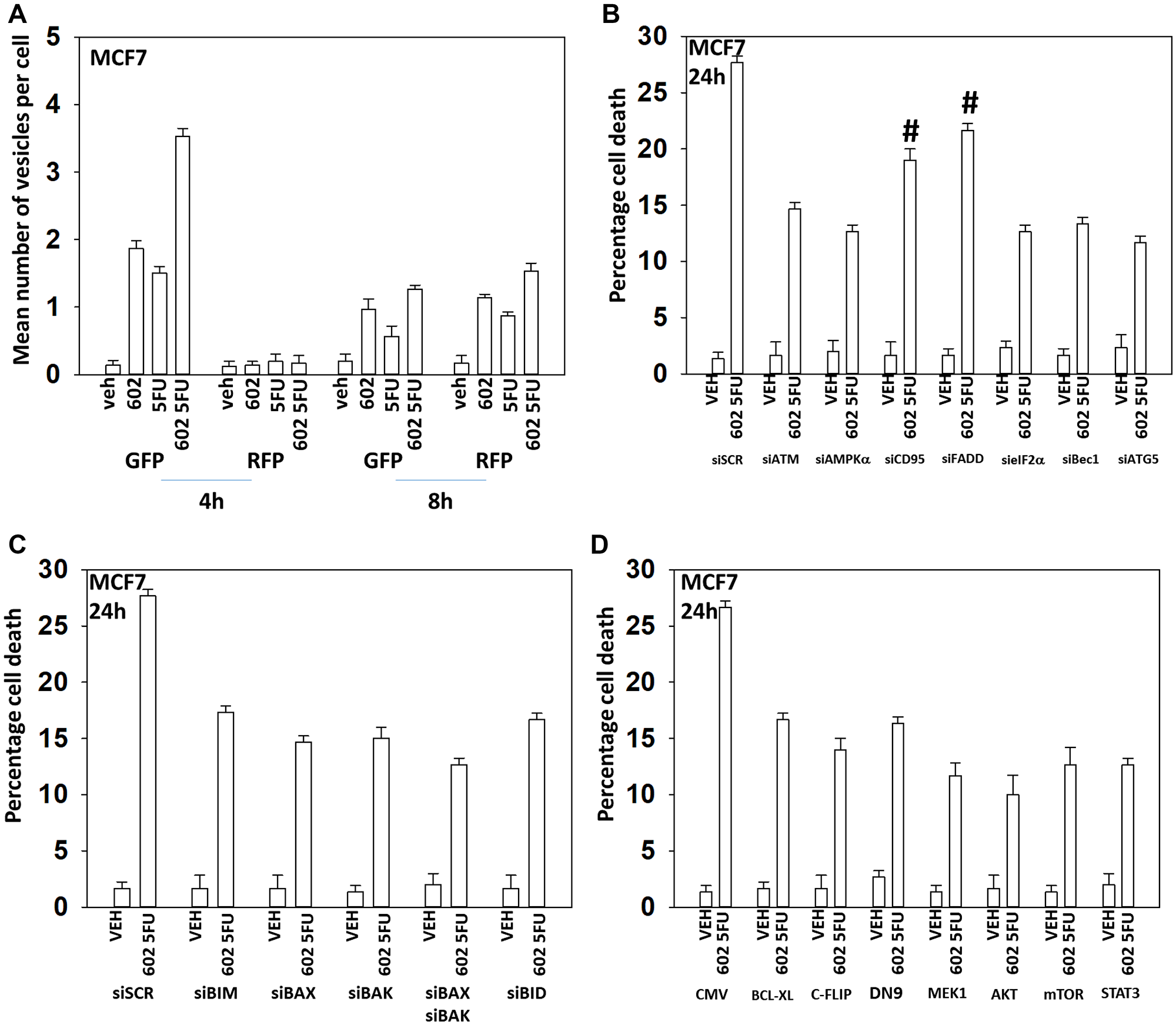 GZ17-6.02 and 5FU interact to cause autophagosome formation and toxic autophagic flux in MCF7 cells.