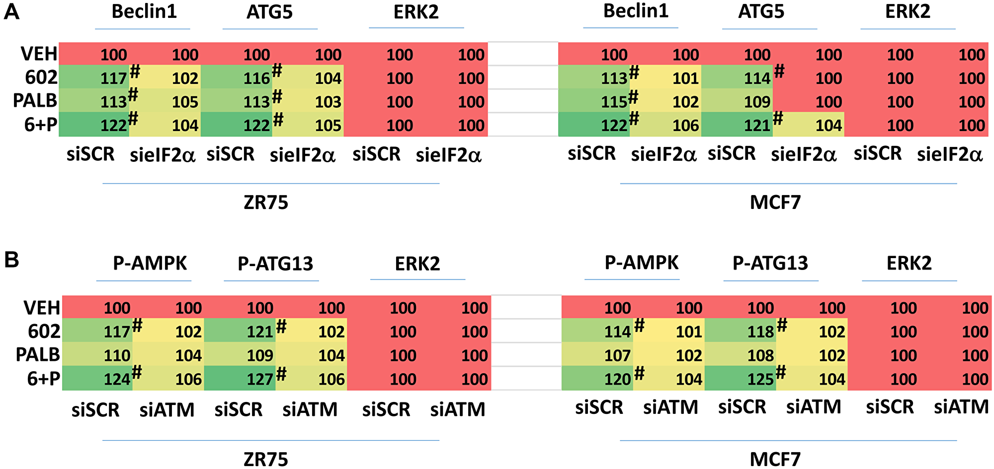 Increased expression of Beclin1 and ATG5 requires eIF2α and enhanced phosphorylation of the AMPK and ATG13 requires ATM.