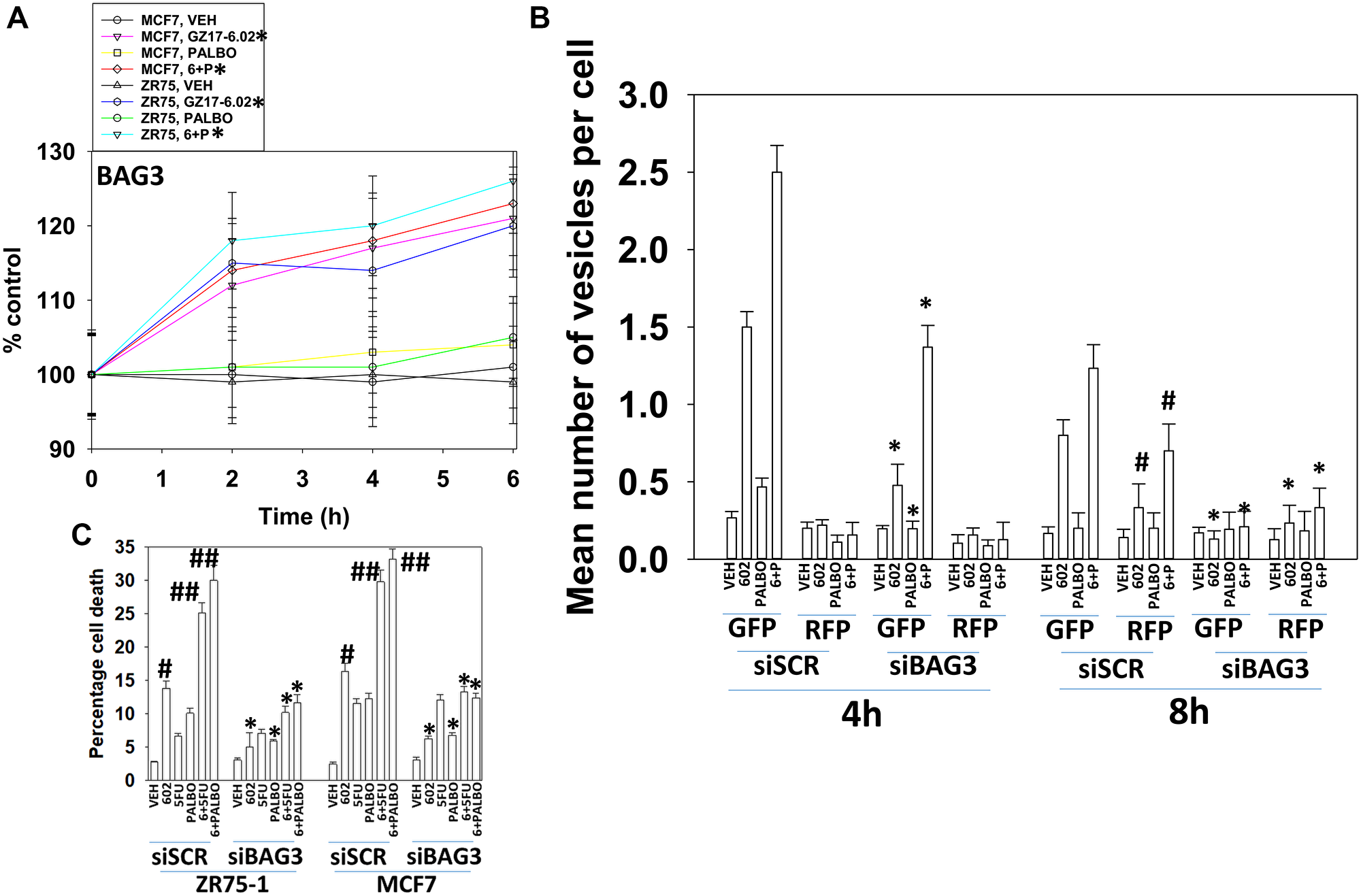 BAG3 is required for GZ17-6.02 -induced autophagy and tumor cell killing.