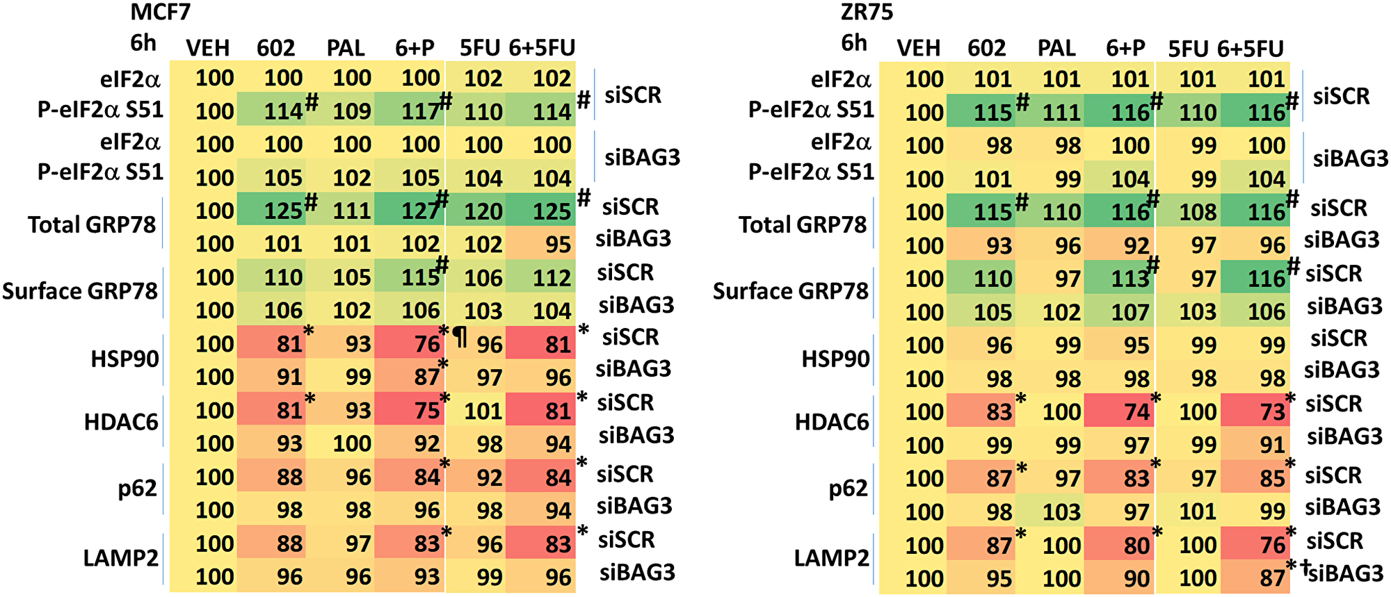 BAG3 is essential for the GZ17-6.02-induced eIF2α S51 phosphorylation and expression of GRP78.