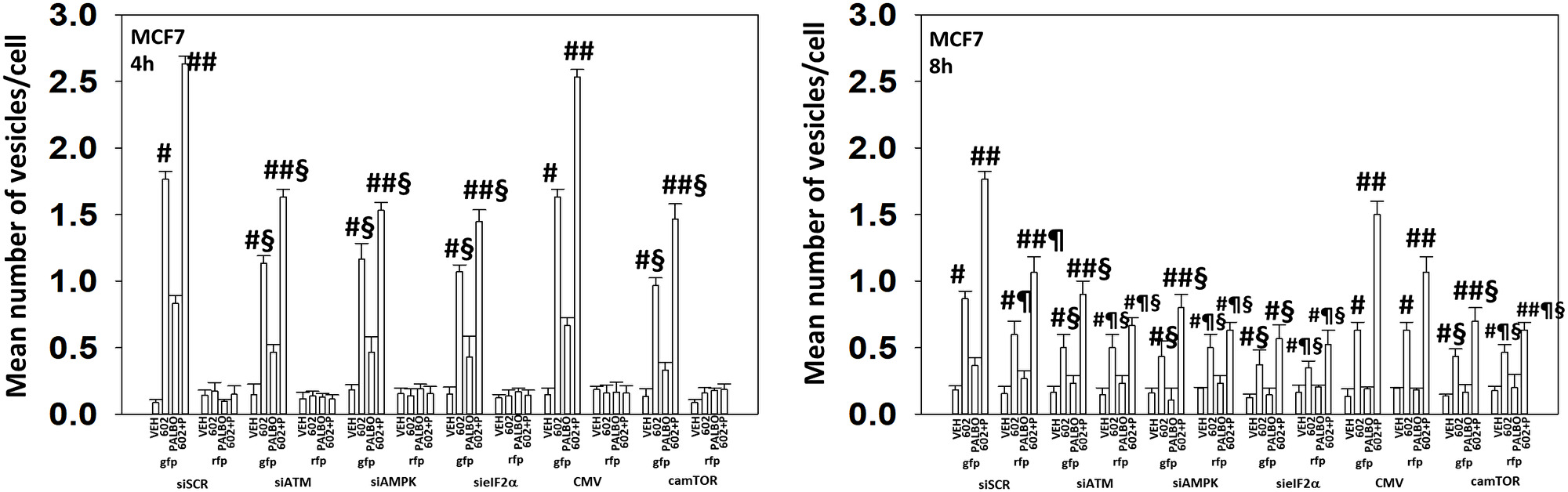 In MCF7 cells autophagic flux and the interaction between GZ17-6.02 and palbociclib requires expression of the AMPK and eIF2α.