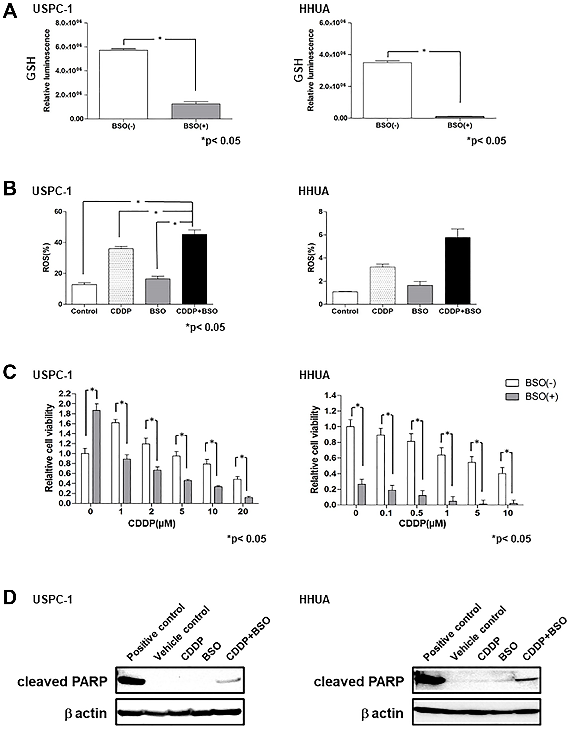 Buthionine sulfoximine (BSO) decreases intracellular glutathione (GSH) levels and inhibits cell proliferation with cisplatin (CDDP) in endometrial carcinoma cell lines.