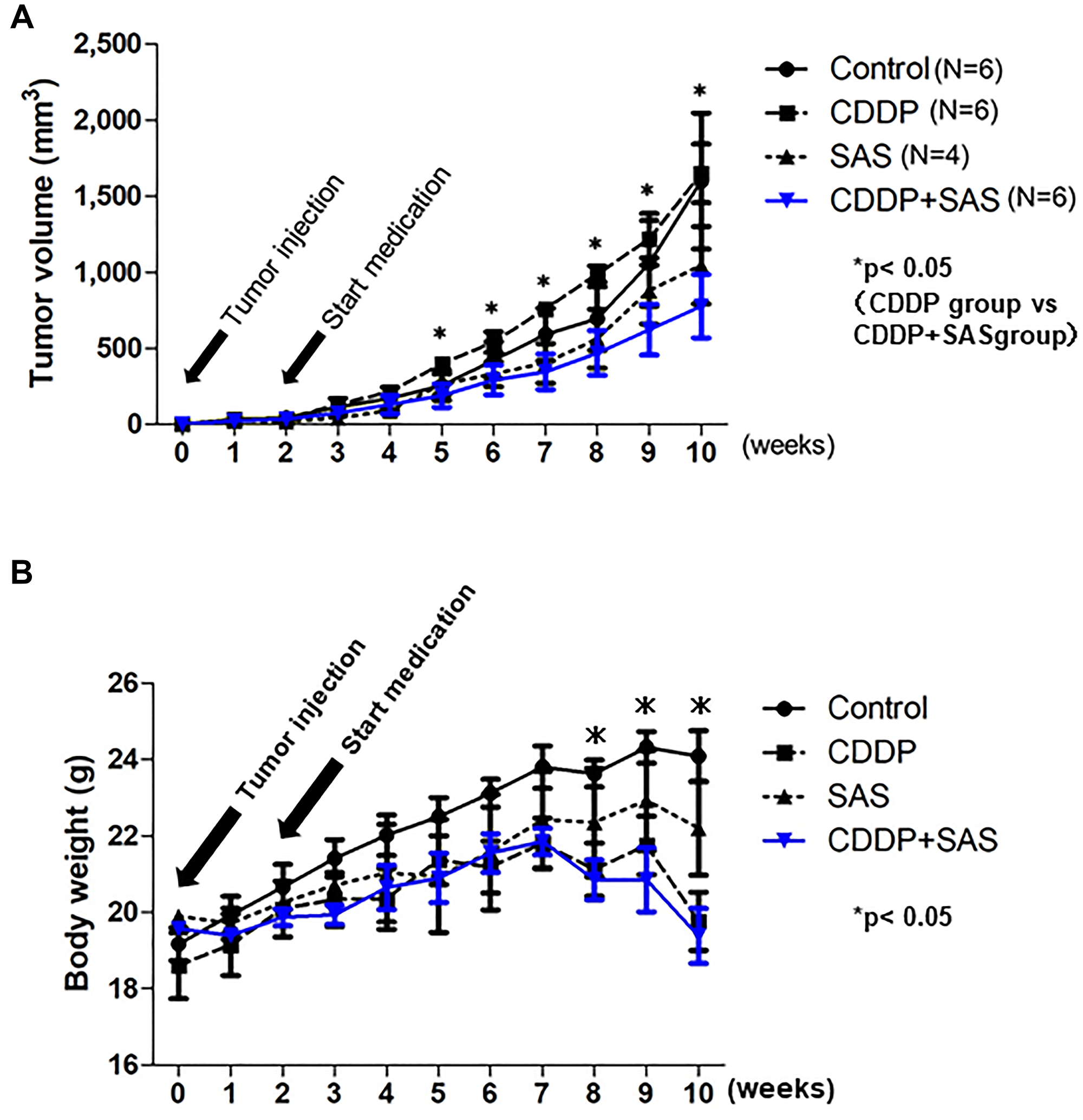 Cisplatin (CDDP) and Sulfasalazine (SAS) suppress xenograft tumor growth.