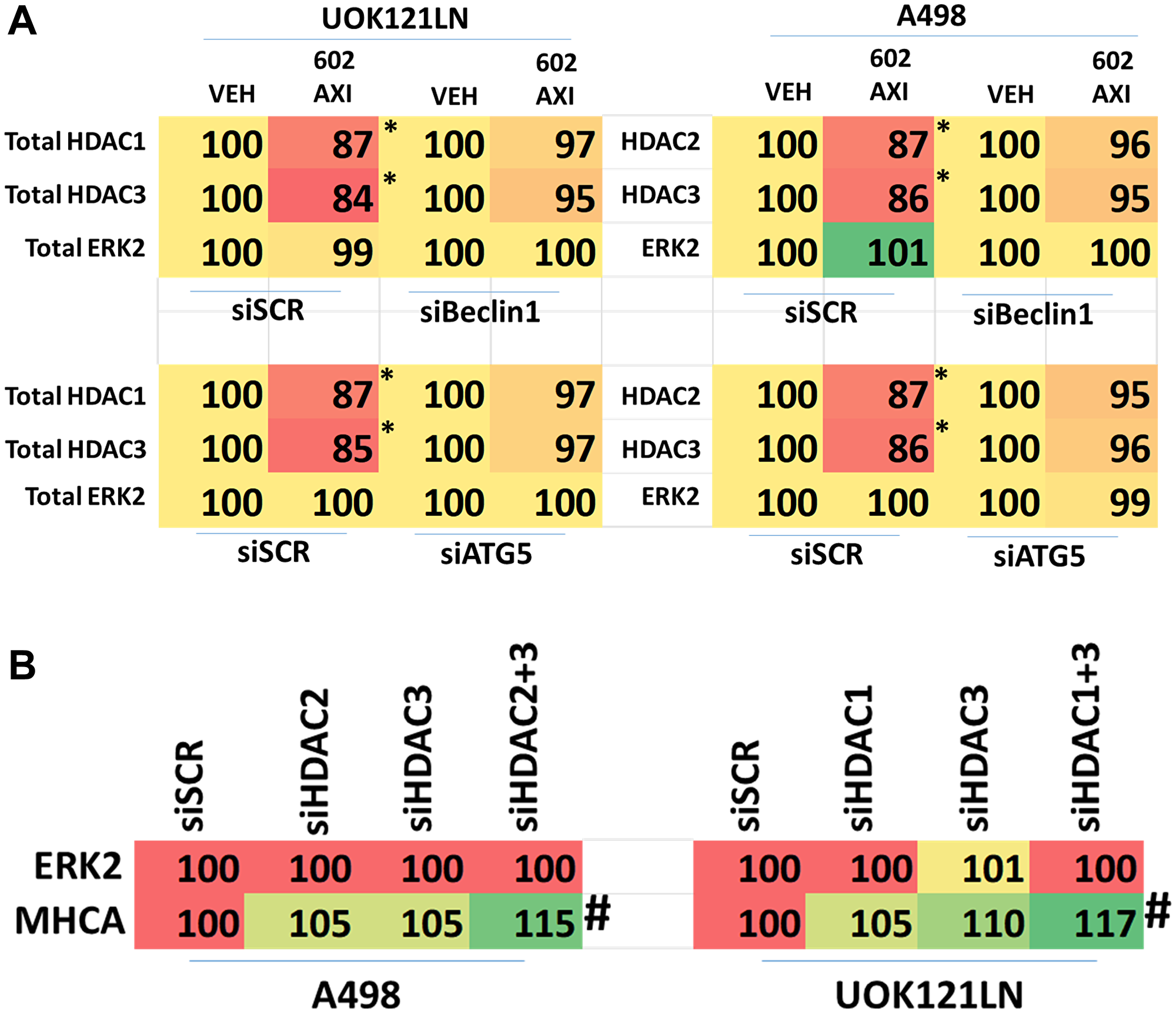 Knock down of [HDAC2 + HDAC3] or [HDAC1 + HDAC3] regulates MHCA expression in RCCs.