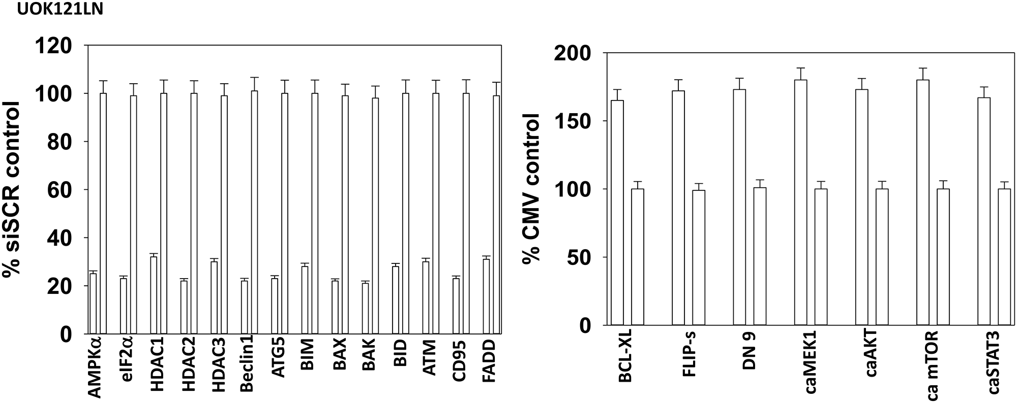 Control siRNA knock down and protein over-expression in RCCs.