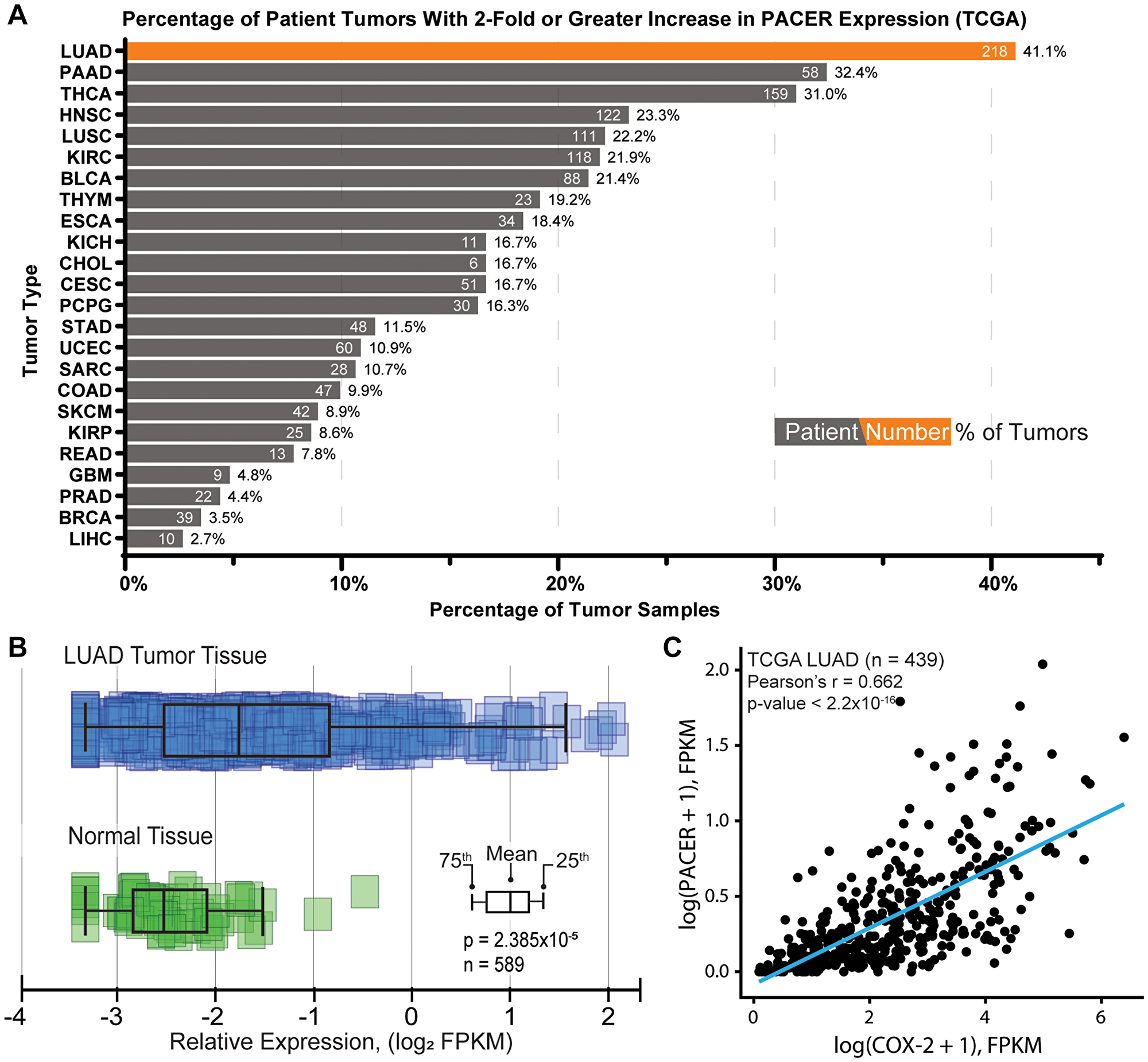 Characterization of PACER expression in lung adenocarcinoma (LUAD) and normal tissue.