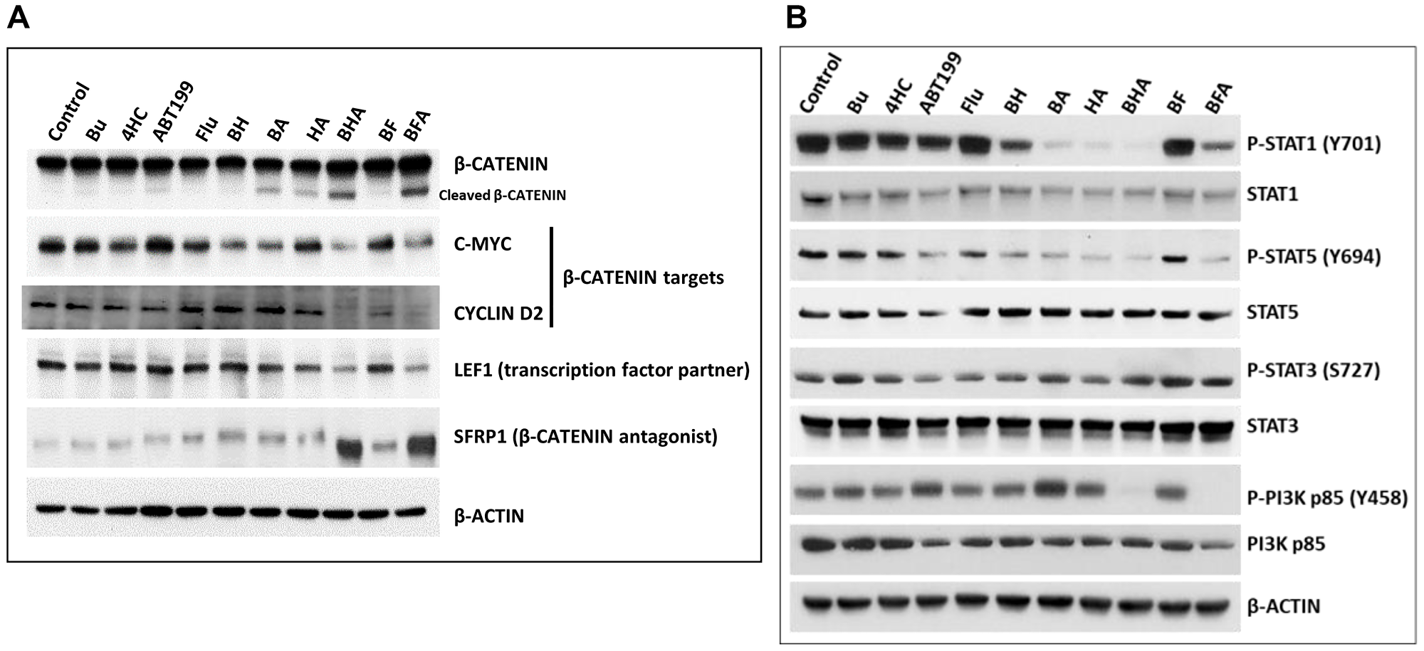 Effect of drugs, alone or in combination, on the status of various proteins involved in cellular pro-survival signaling pathways.